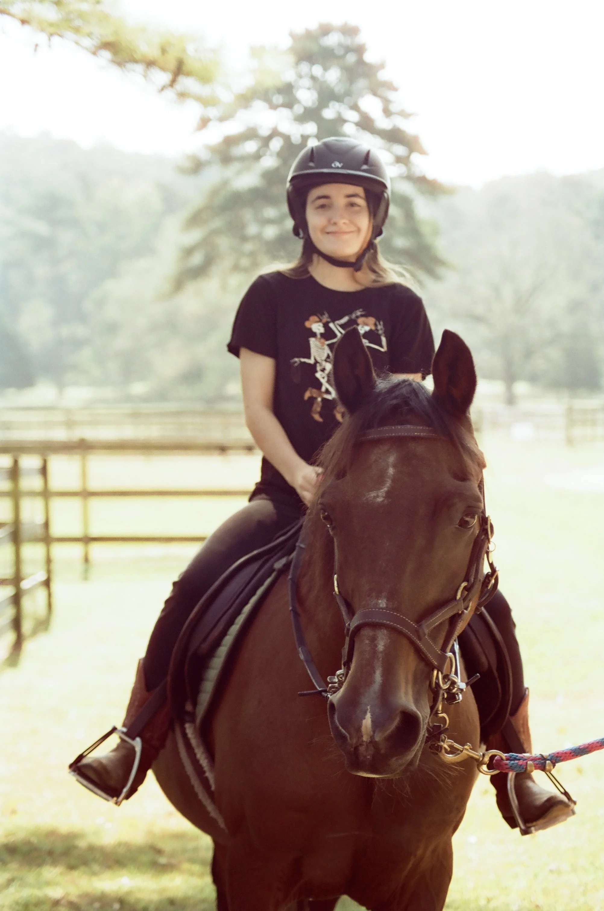 A young girl wearing a black helmet and black t-shirt riding a brown horse outdoors on a sunny day.