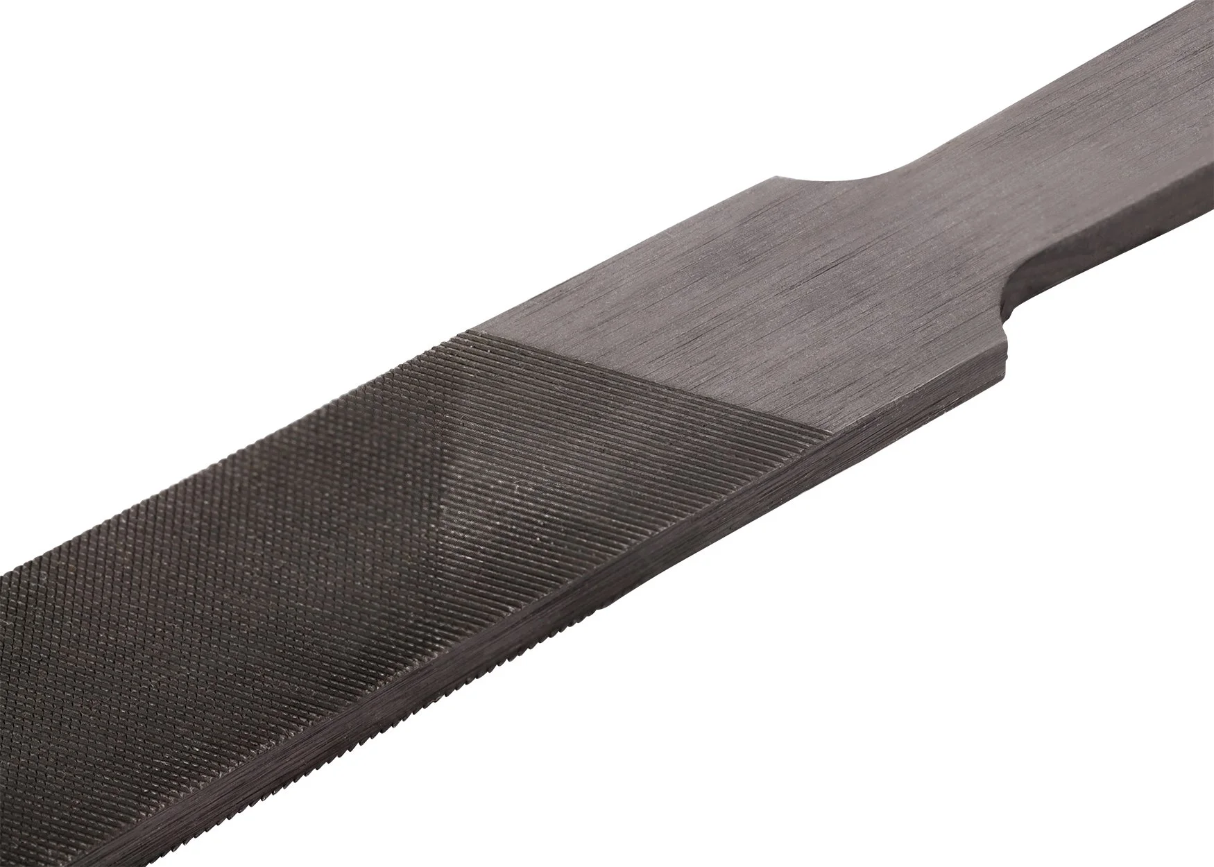 Compact File W3 SM.jpg