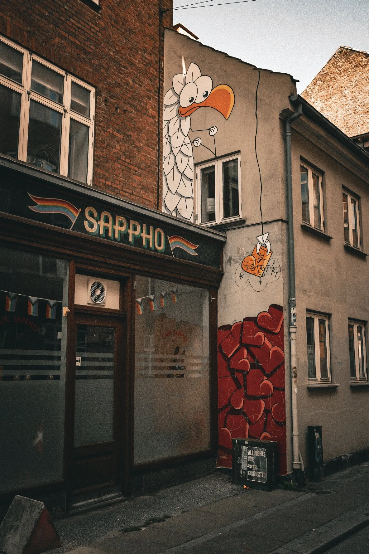 DSCF6533.JPG