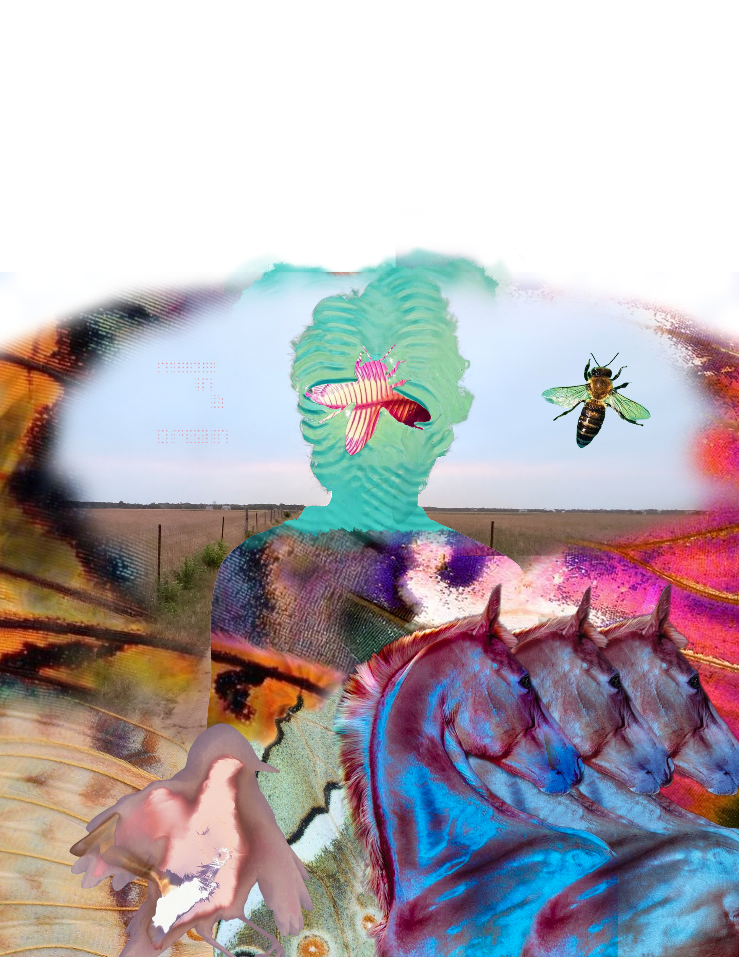 Made in a Dream.png