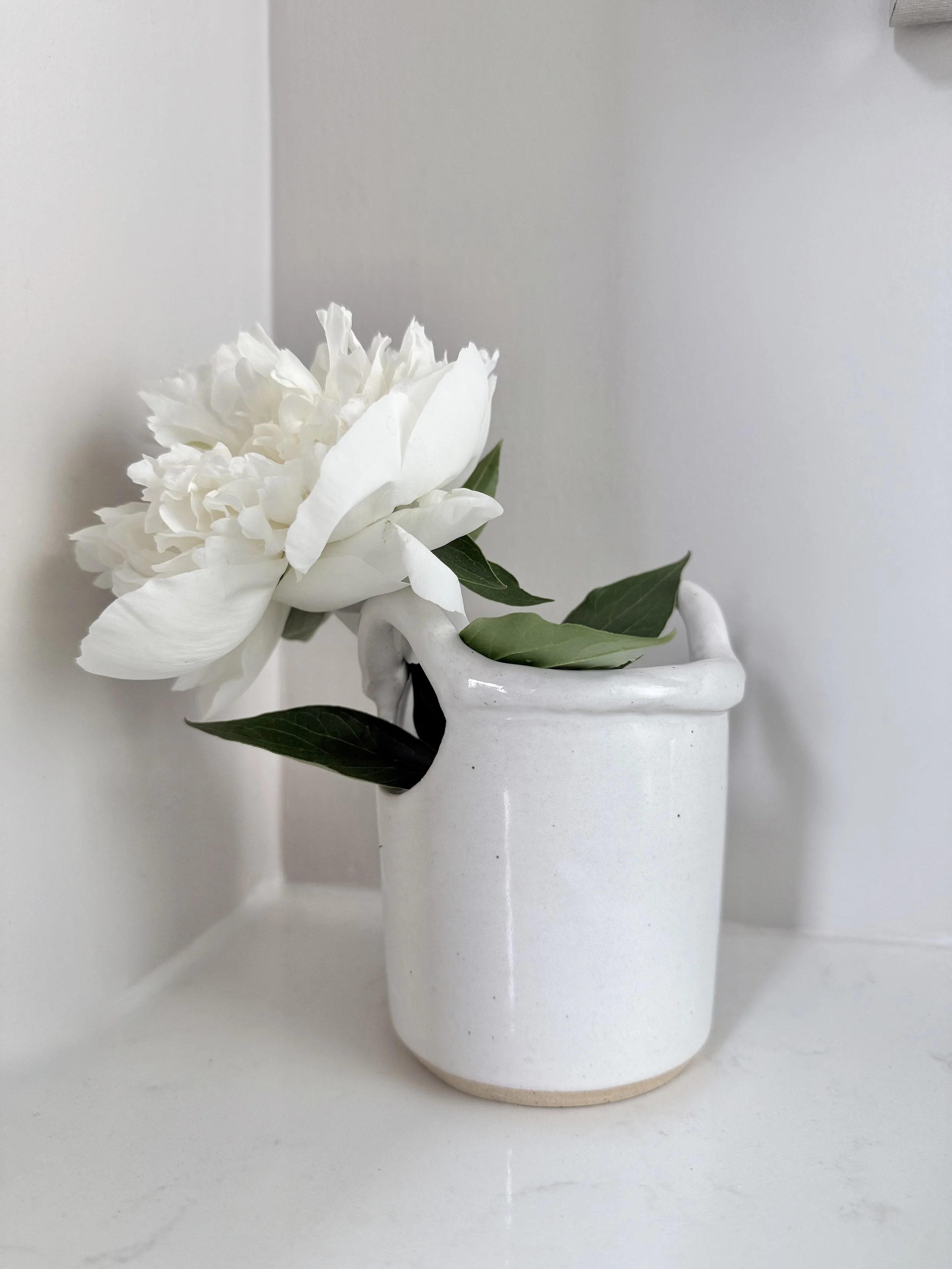 White peony flower with green leaves in a white ceramic vase.