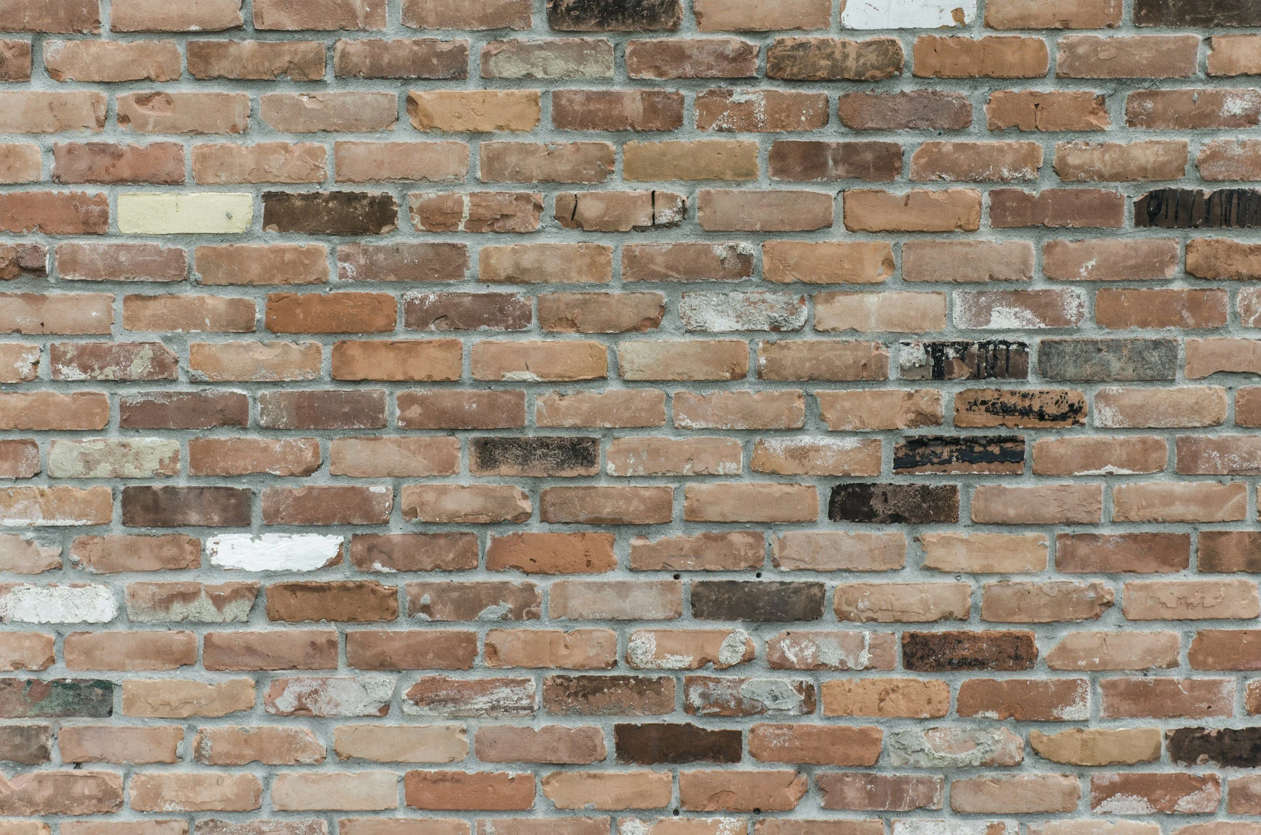 Close-up of a brick wall with various shades of red and brown bricks, some with white and black paint marks.