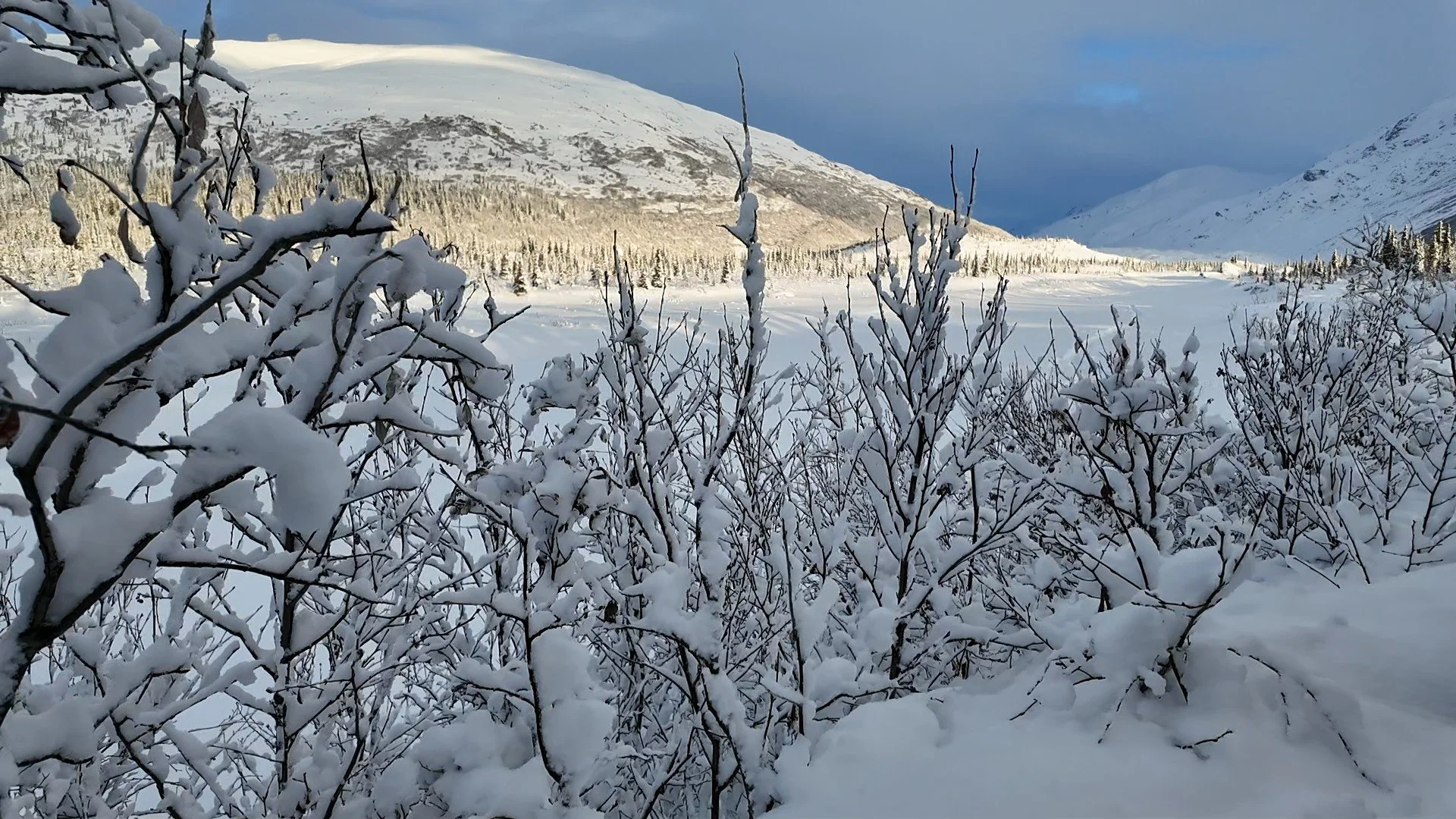 Alaskan Wilderness