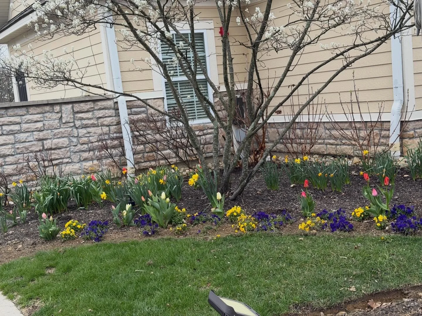 Spring is in the air and everything just feels a little brighter 🌸✨ From sunshine-filled days to fresh blooms popping up everywhere, it&rsquo;s the perfect reminder that new beginnings are all around us. Here&rsquo;s to warmer weather, fresh flowers