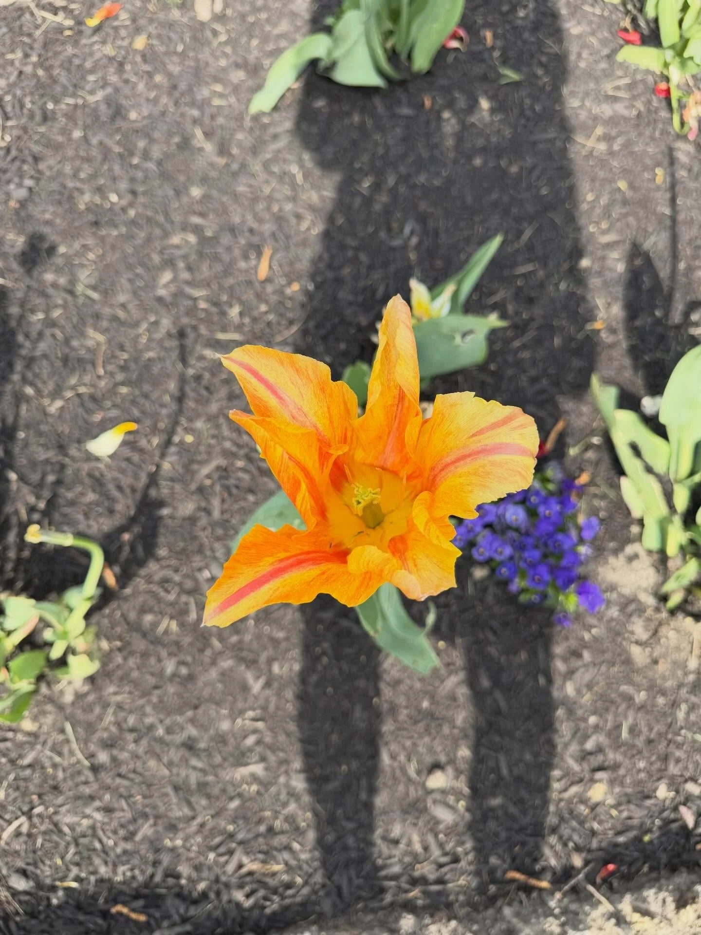 New beginnings are popping up all around our community 🌸🐣🌿
From fresh blooms brightening our pathways, to tiny eggshells and cozy nests tucked into the trees&mdash;there are signs of new life everywhere you look. Nature is doing its thing, and we&