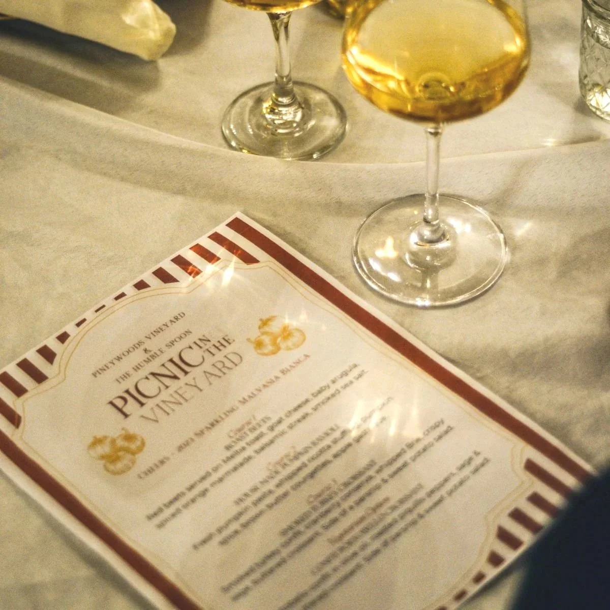 Picnic In The Vineyard Event + Pineywoods Vineyard