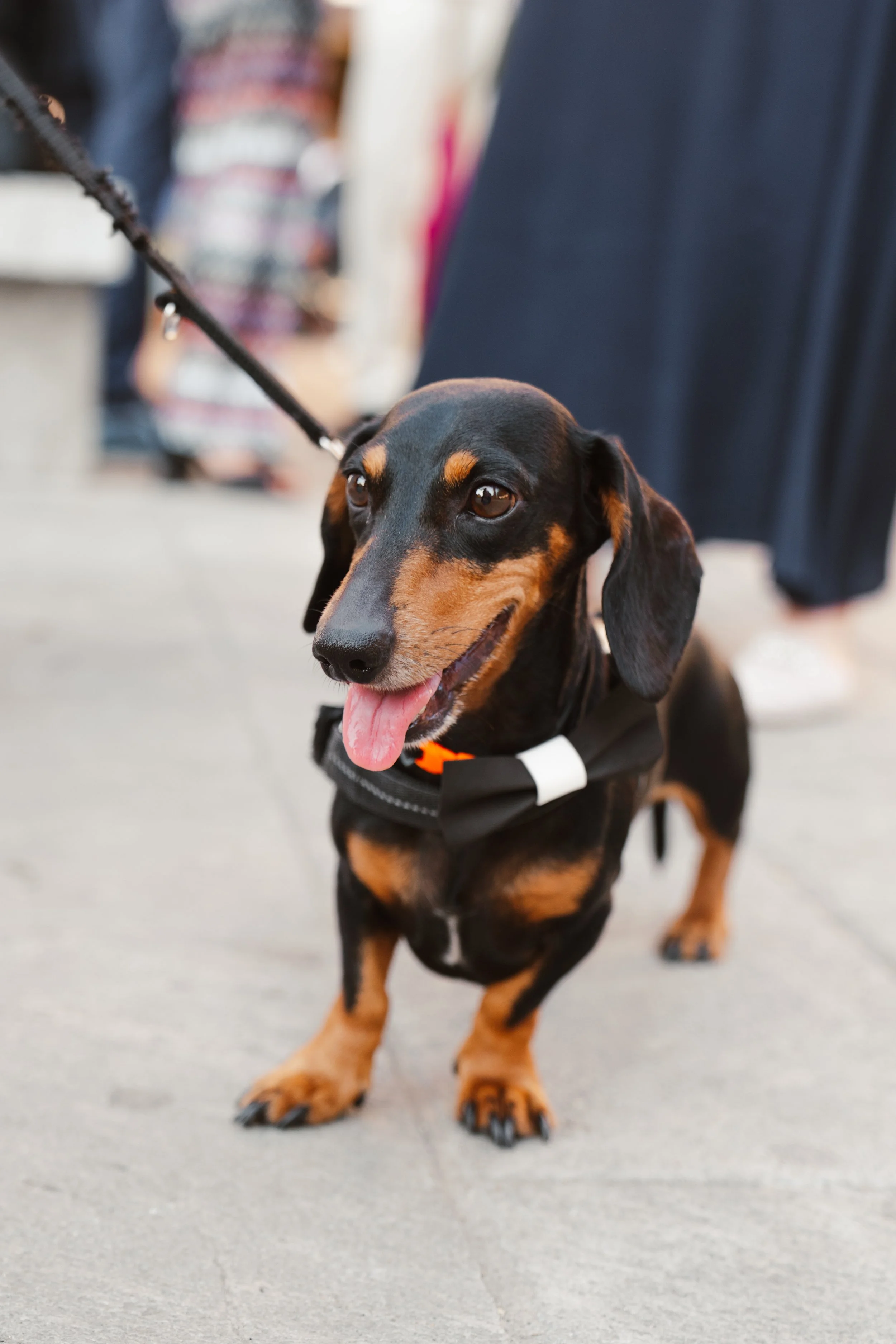 AN URBAN AND ELEGANT WEDDING IN THE HEART OF MILAN