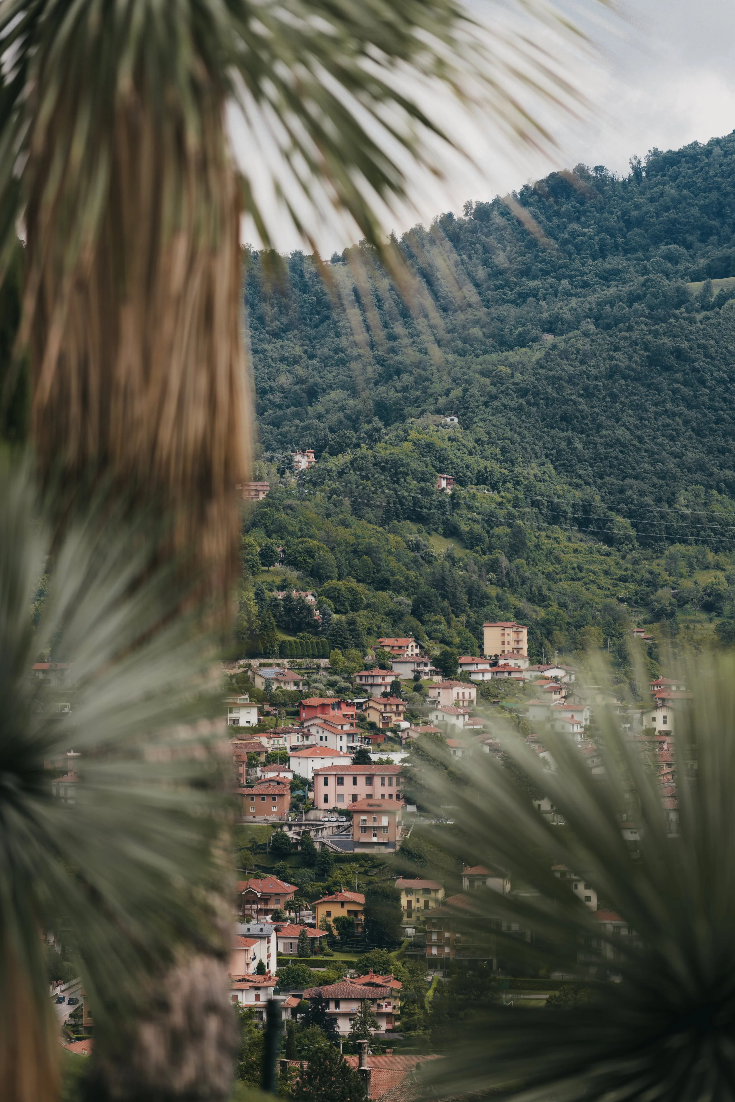 MATRIMONIO IN LOCANDA ARMONIA