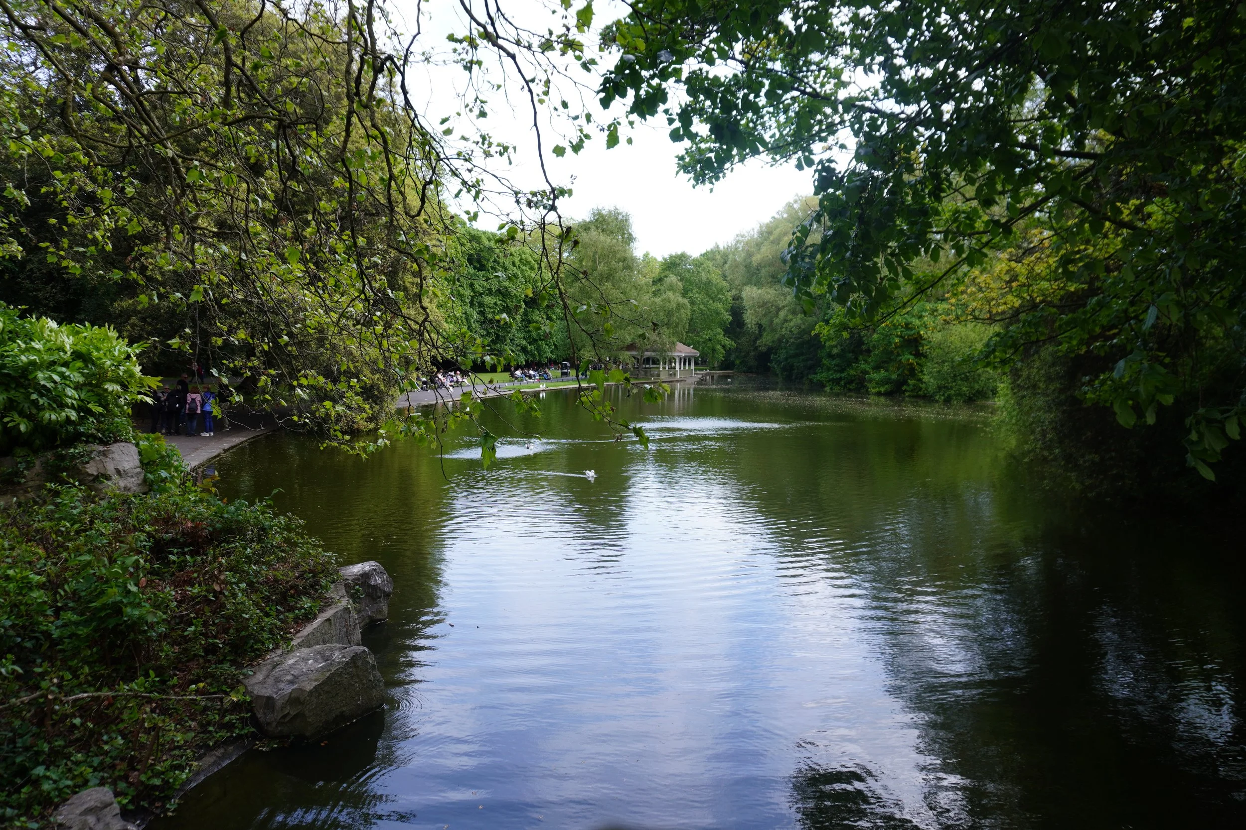 DSC01017.jpeg