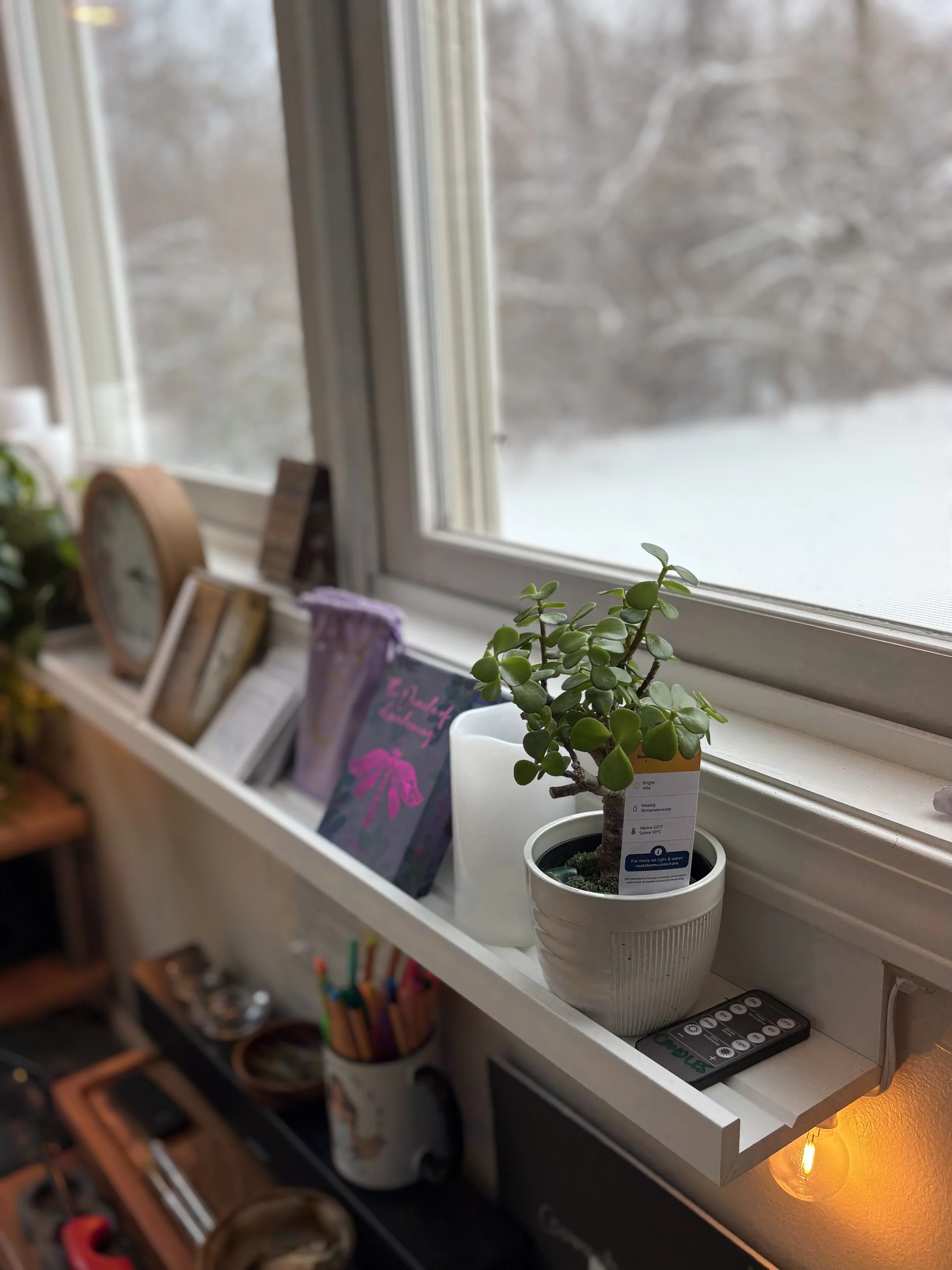 Something Is Growing at So Hum