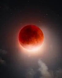 The Blood Moon, The Worm Moon &amp; The Roots We Cannot Yet See