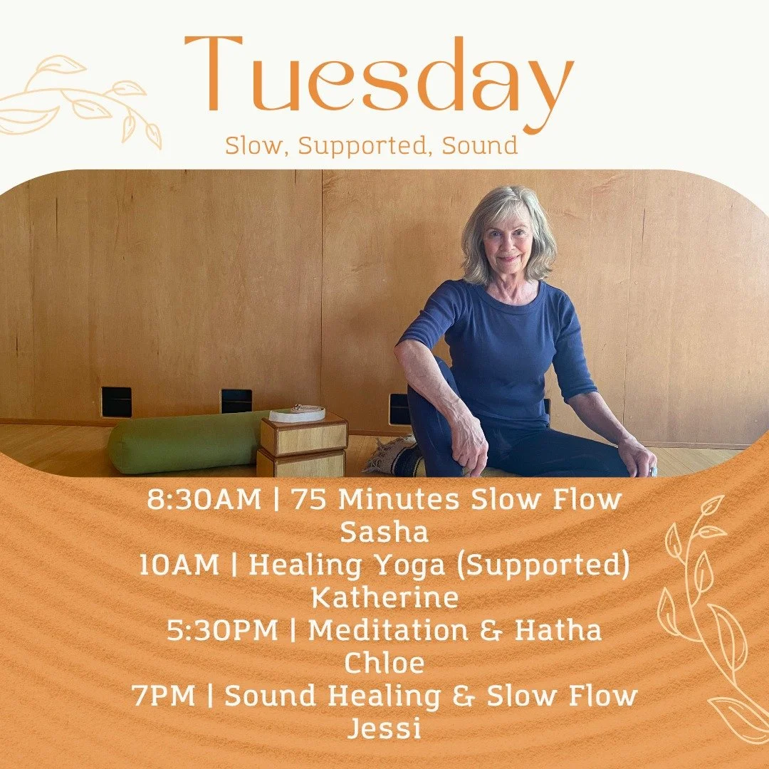 Tuesday &ndash; Slow, Supported, Sound

Tuesday invites you to soften and be supported.

Move with Sasha at 8:30AM in a 75-minute Slow Flow.
At 10AM, Katherine offers Healing Yoga&mdash;gentle, supported, and deeply nourishing.
Evening unfolds with M