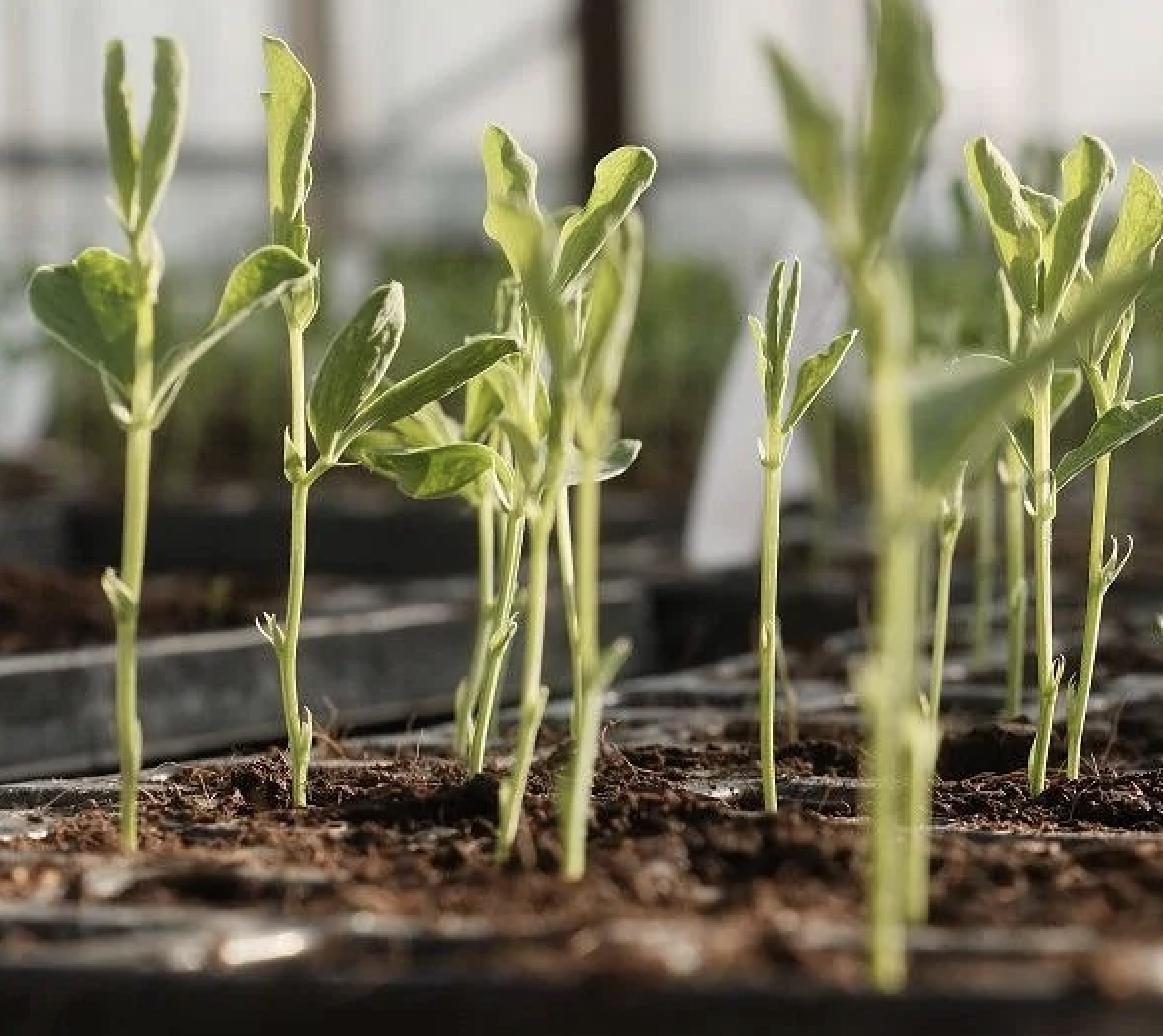 Screenshot 2026-01-12 at 20.50.00.png