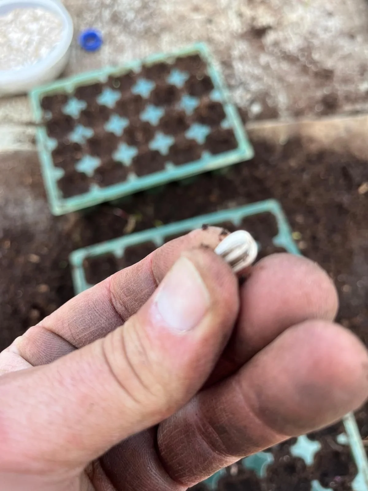 WhatsApp Image 2026-03-13 at 09.47.54 (1).jpeg