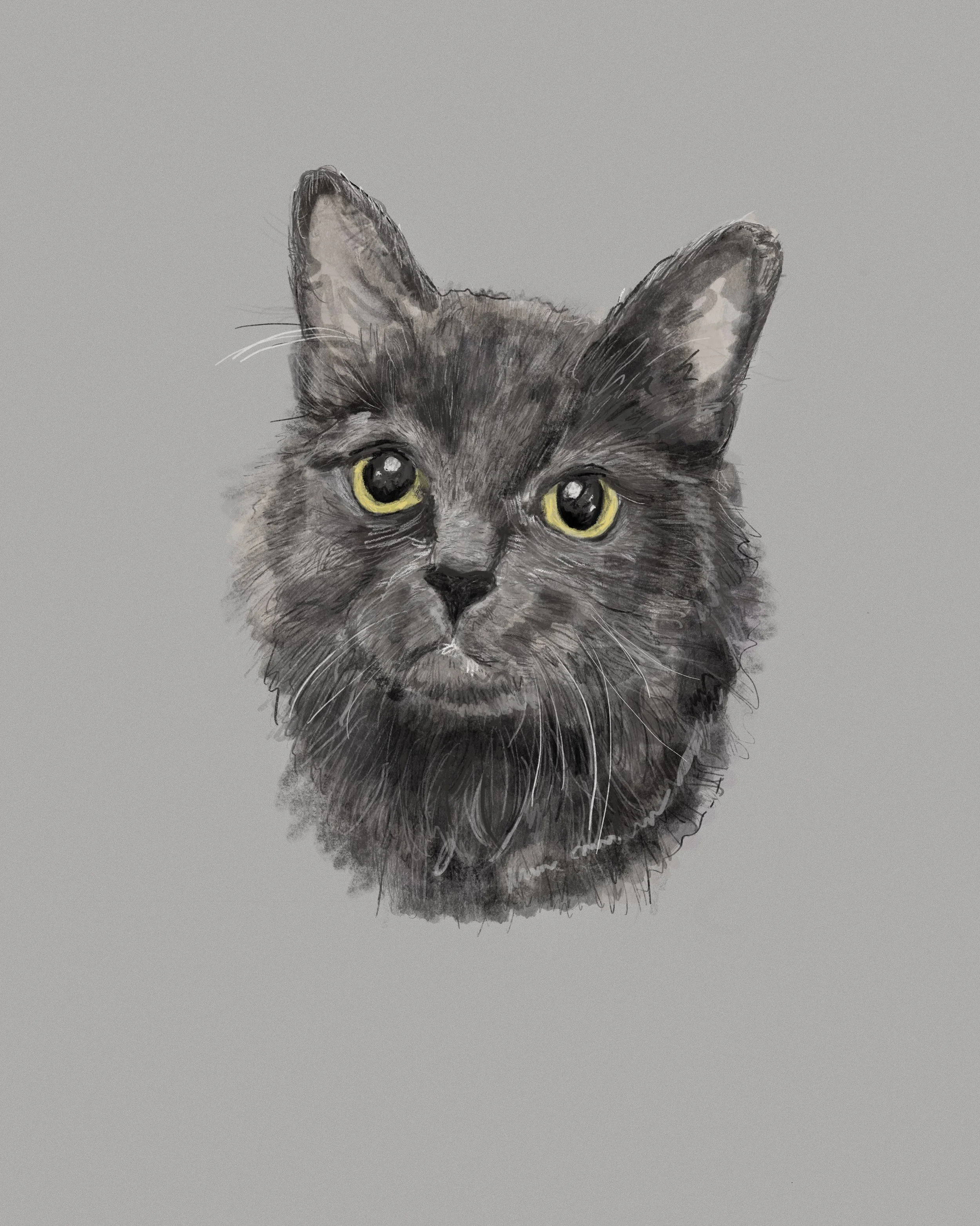 Untitled_Artwork 3_morty.jpg