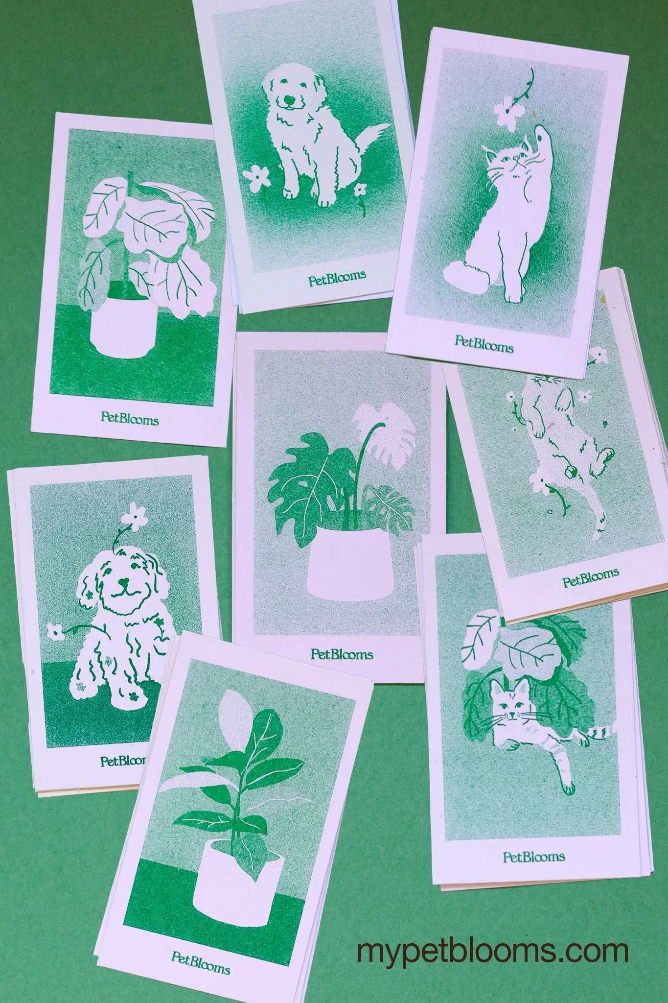PatricksDay_Sequence-13.jpg