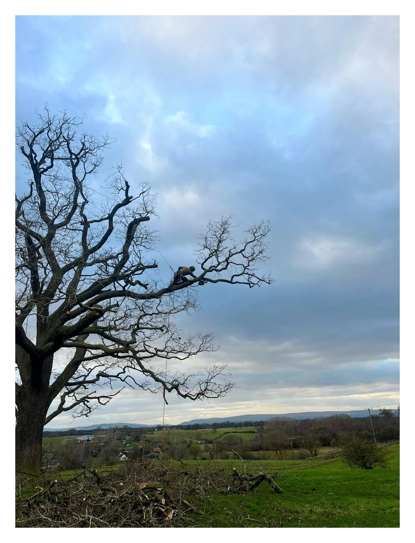 PHOTO-2025-07-29-12-47-04 6.jpg