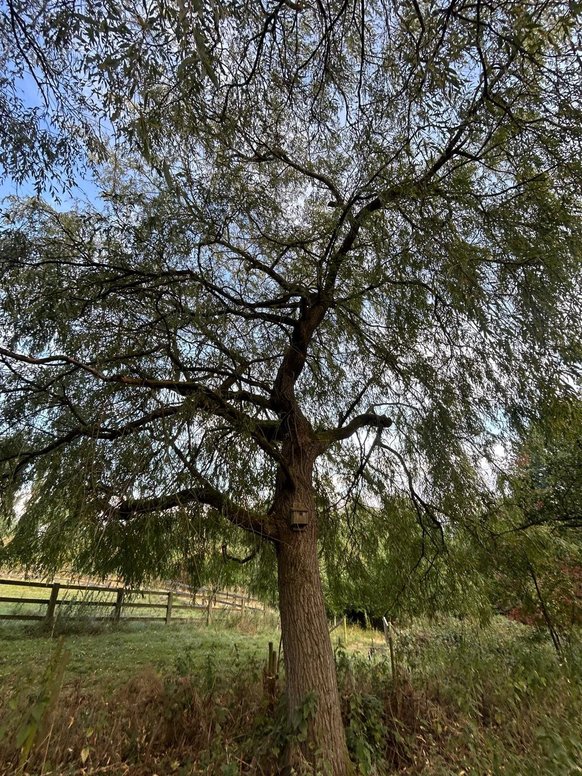 PHOTO-2025-10-19-17-57-33 4.jpg