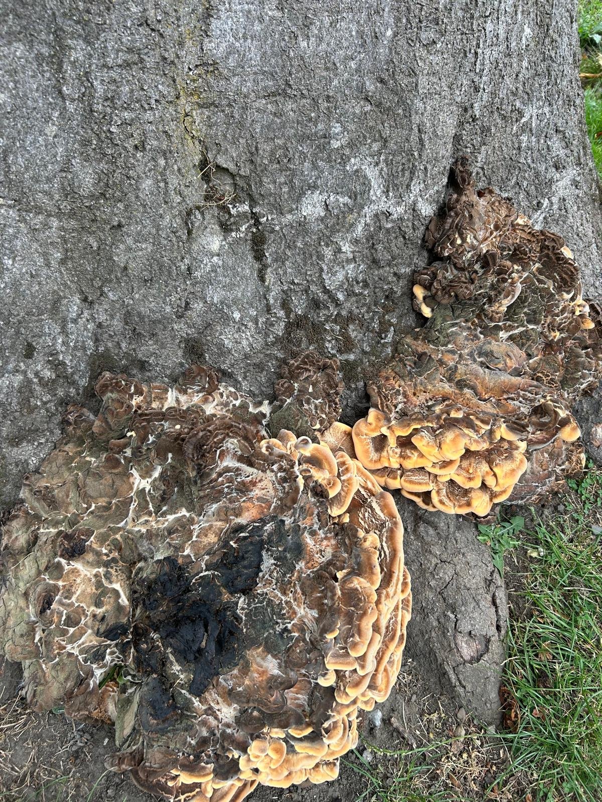 PHOTO-2025-08-18-19-33-41 7.jpg