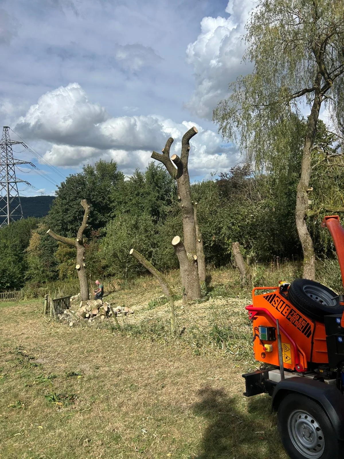 PHOTO-2025-10-19-17-57-33 2.jpg