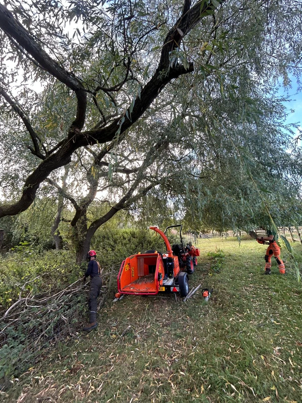 PHOTO-2025-10-19-17-57-33 7.jpg