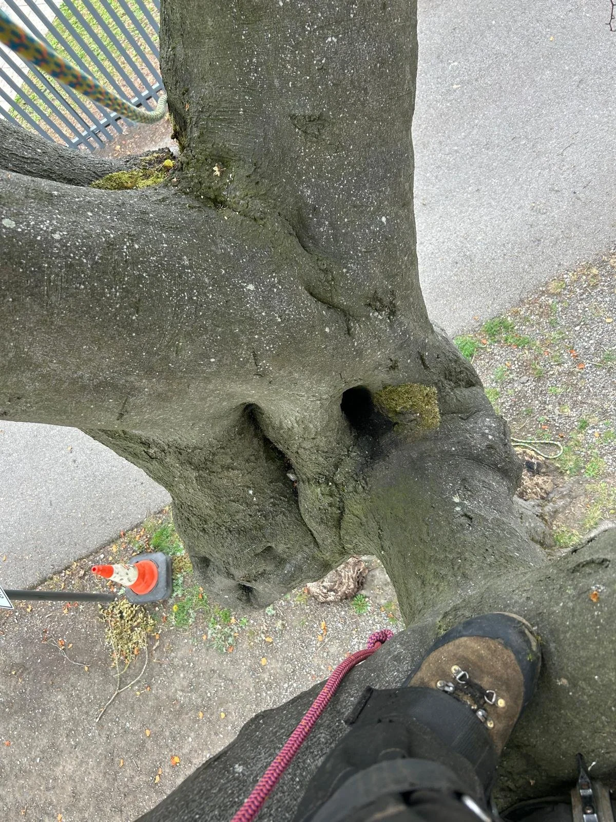 PHOTO-2025-08-18-19-33-41 2.jpg