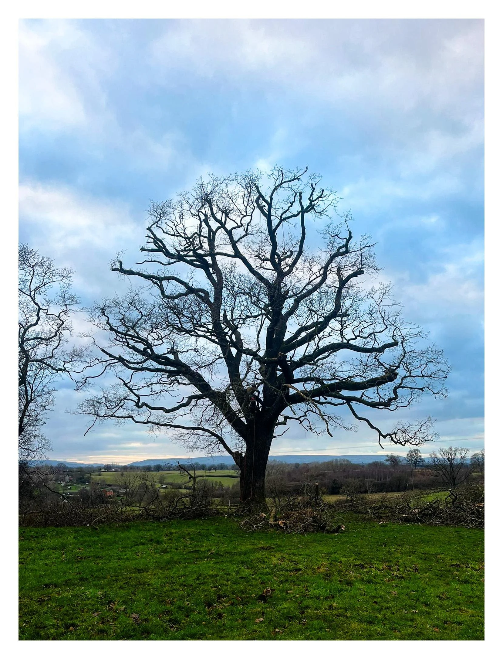 PHOTO-2025-07-29-12-47-04 9.jpg