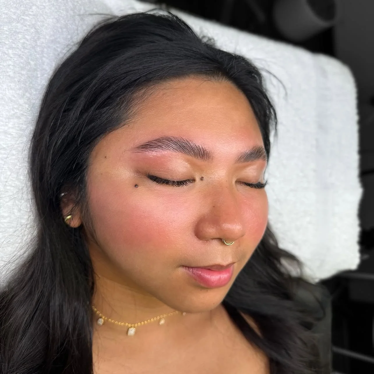 Brow Lamination & Tint