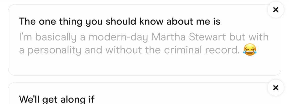 Text box with the phrase "The one thing you should know about me is I'm basically a modern-day Martha Stewart but with a personality and without the criminal record," accompanied by a laughing emoji.