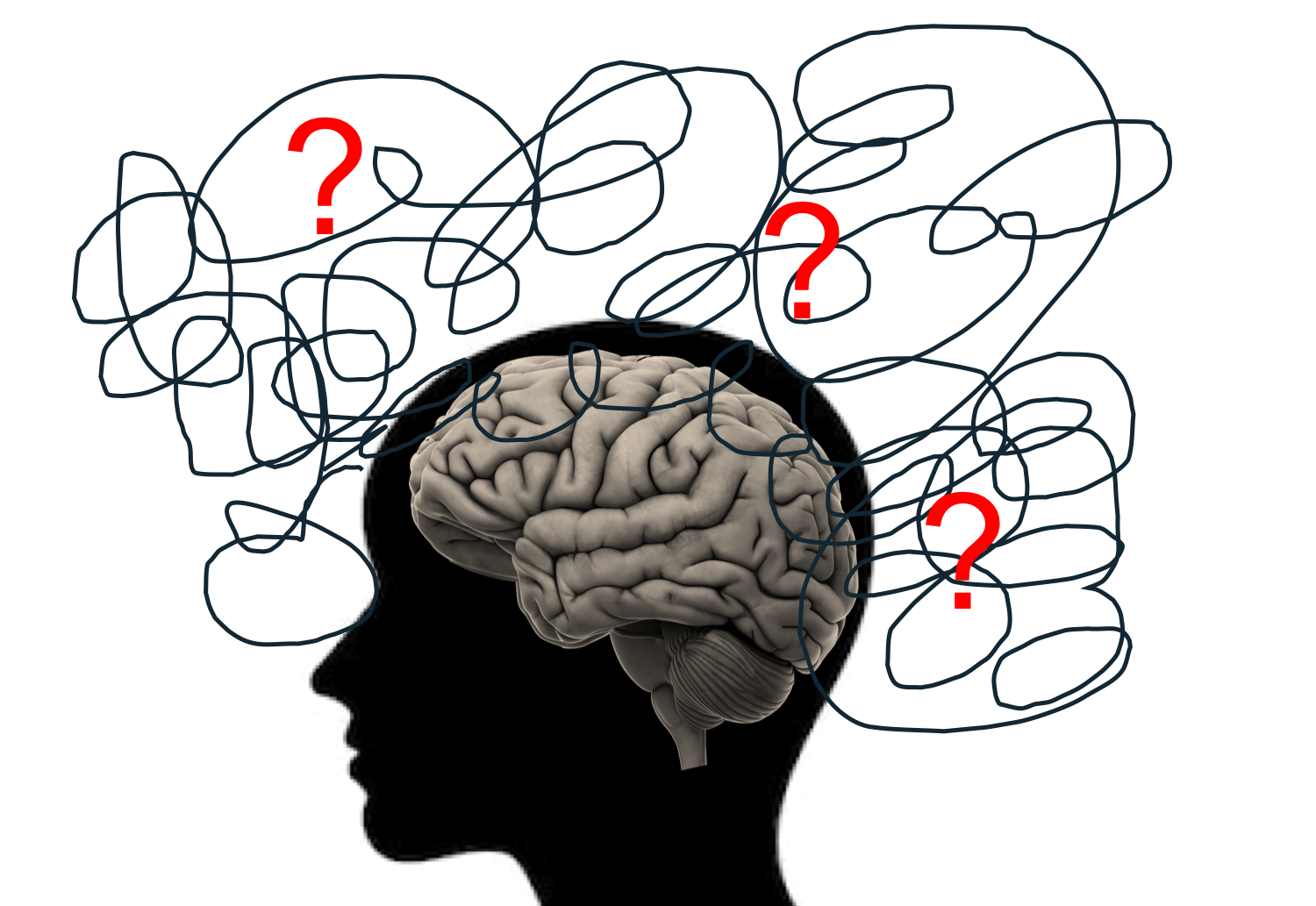 What the Y-BOCS Measures and What It Does Not