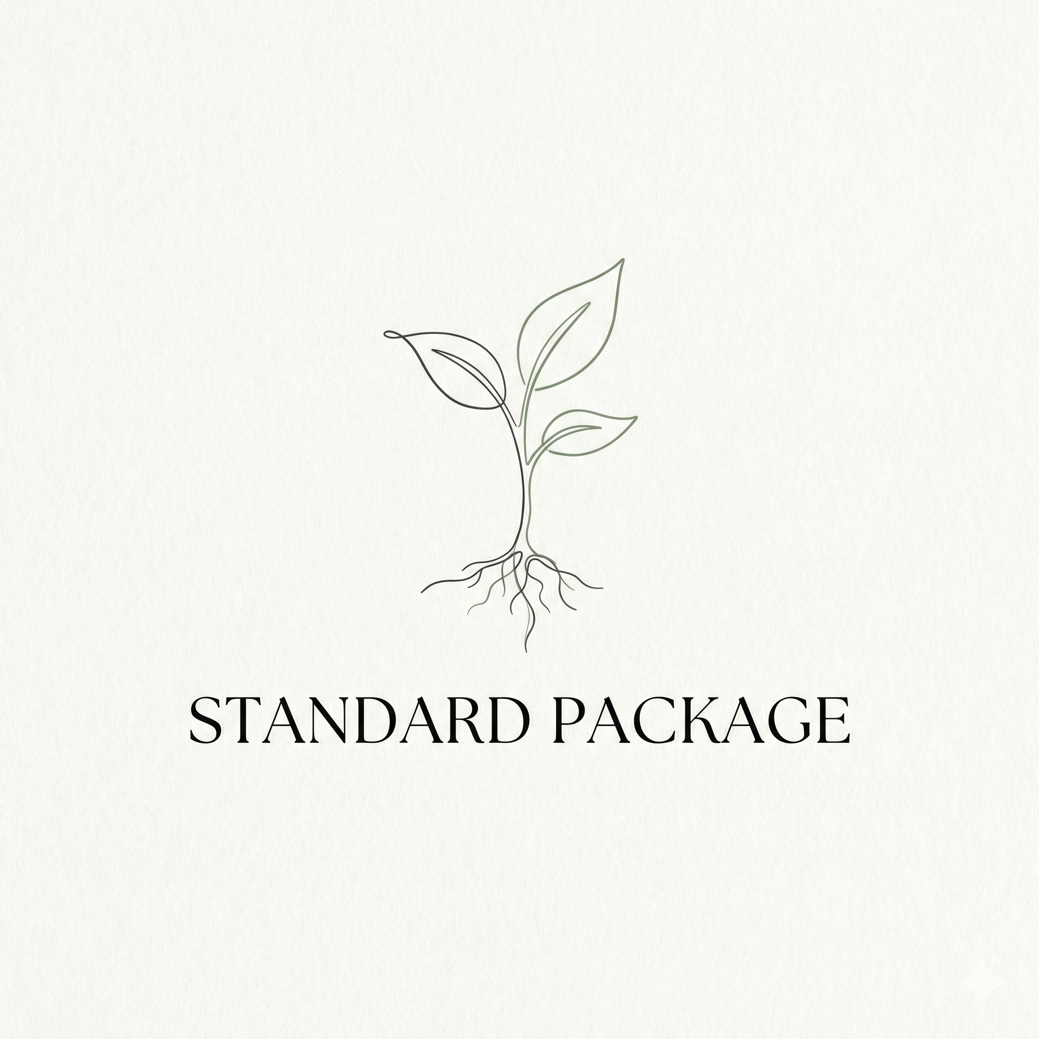 Standard ERP Package (Monthly)