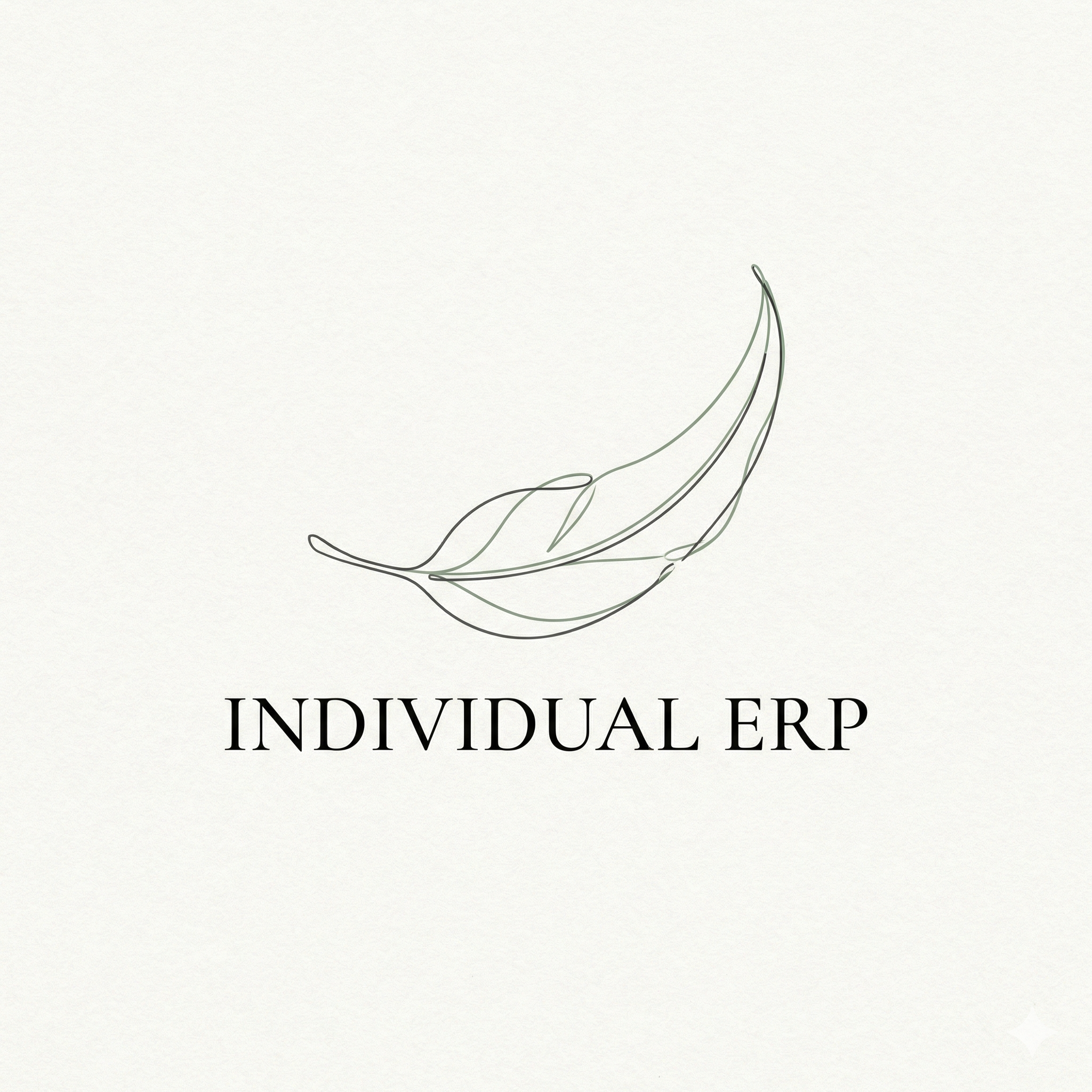Individual ERP only (no package)