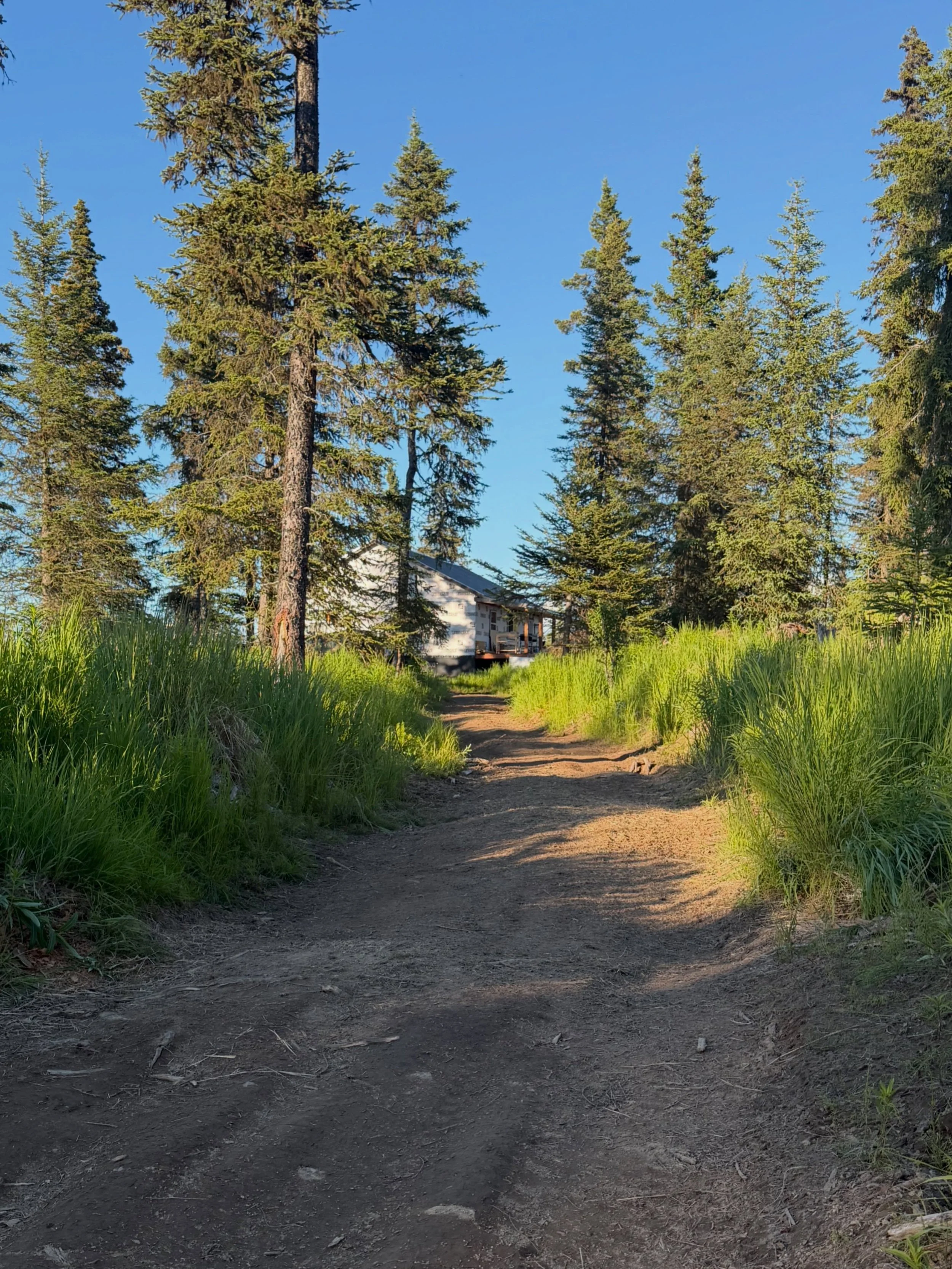 I love a good summer day with absolutely ZERO plans. This first photo is a trail at our house we put in last summer. We walk it every day. I love the view walking towards our house and seeing it from afar. I can&rsquo;t believe in a few weeks this vi