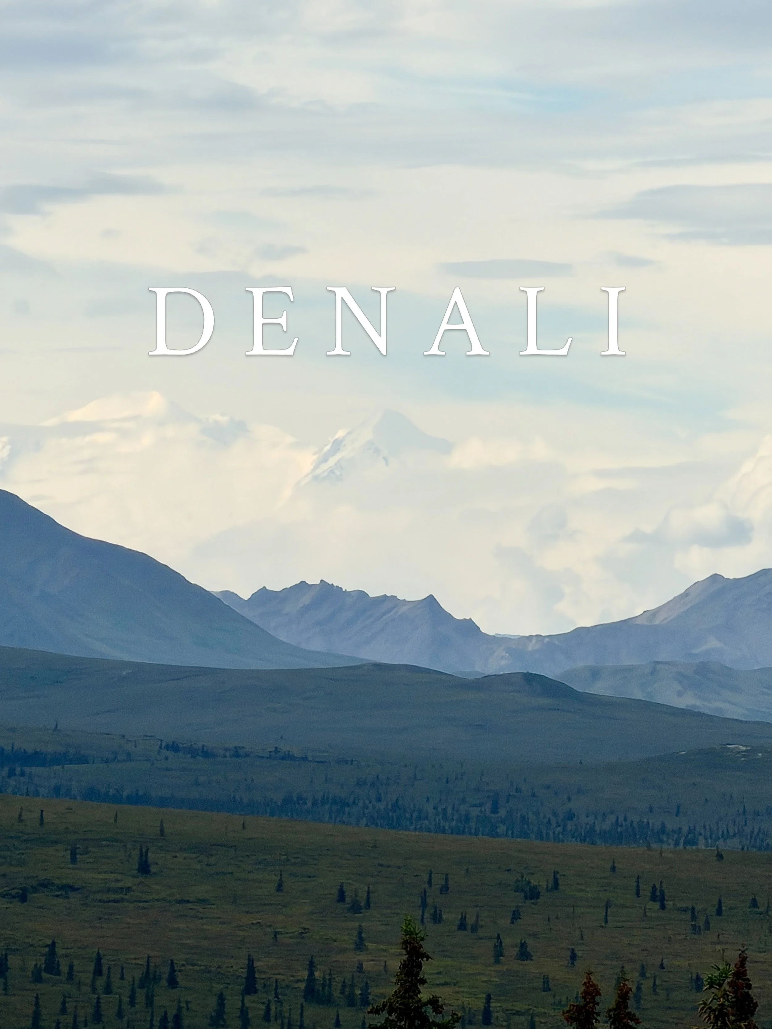 Denali trip was one to remember. We even saw Beluga whales on our road trip. So blessed for this family and memories made with friends that are like family. 

#denalinationalpark #alaskasummer #familycamping