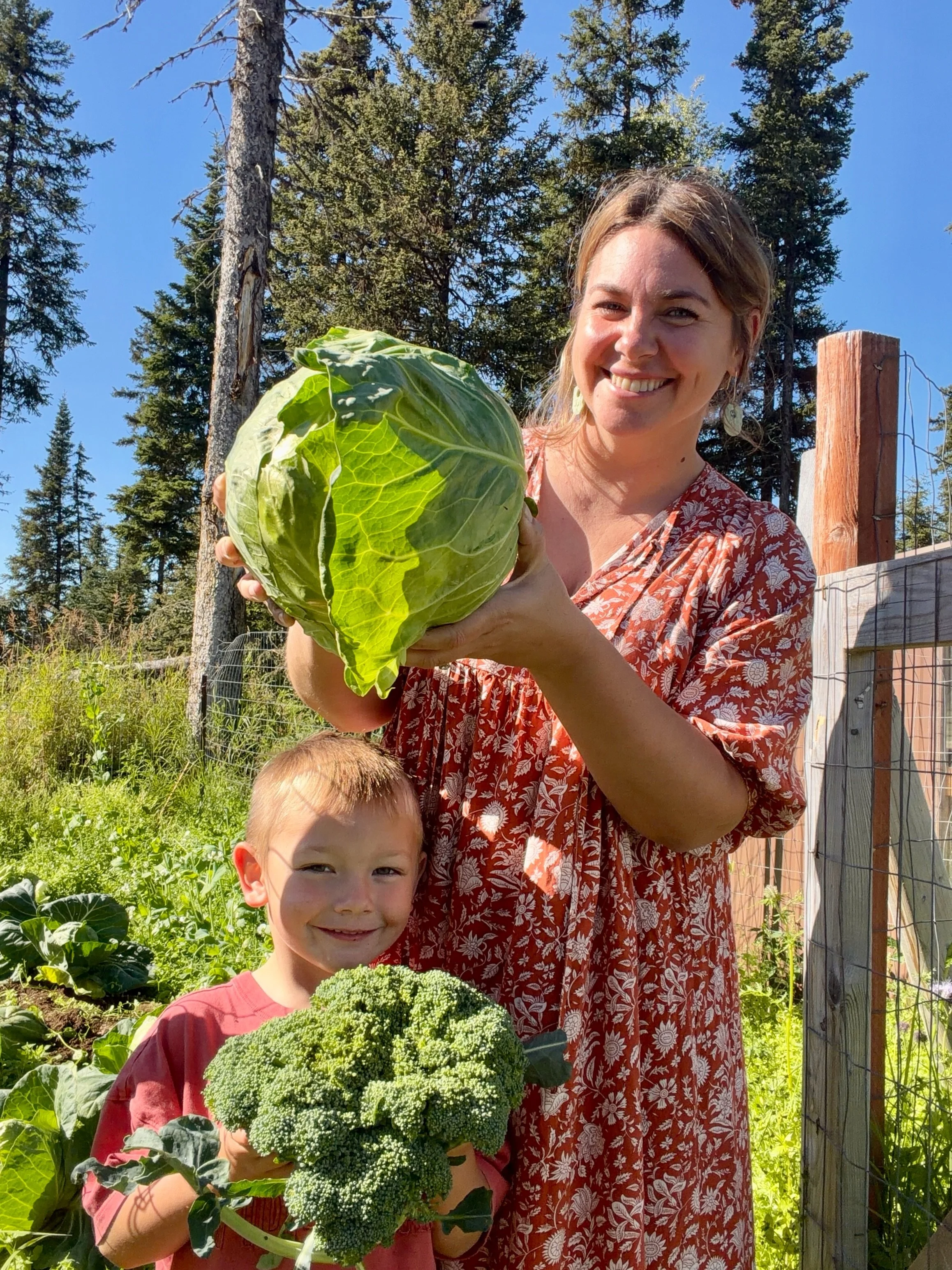Another harvest day on the Bogatko homestead and it&rsquo;s absolutely gorgeous out!!! I&rsquo;m going to be making sauerkraut and fireweed tea this week! Should I film a tutorial?