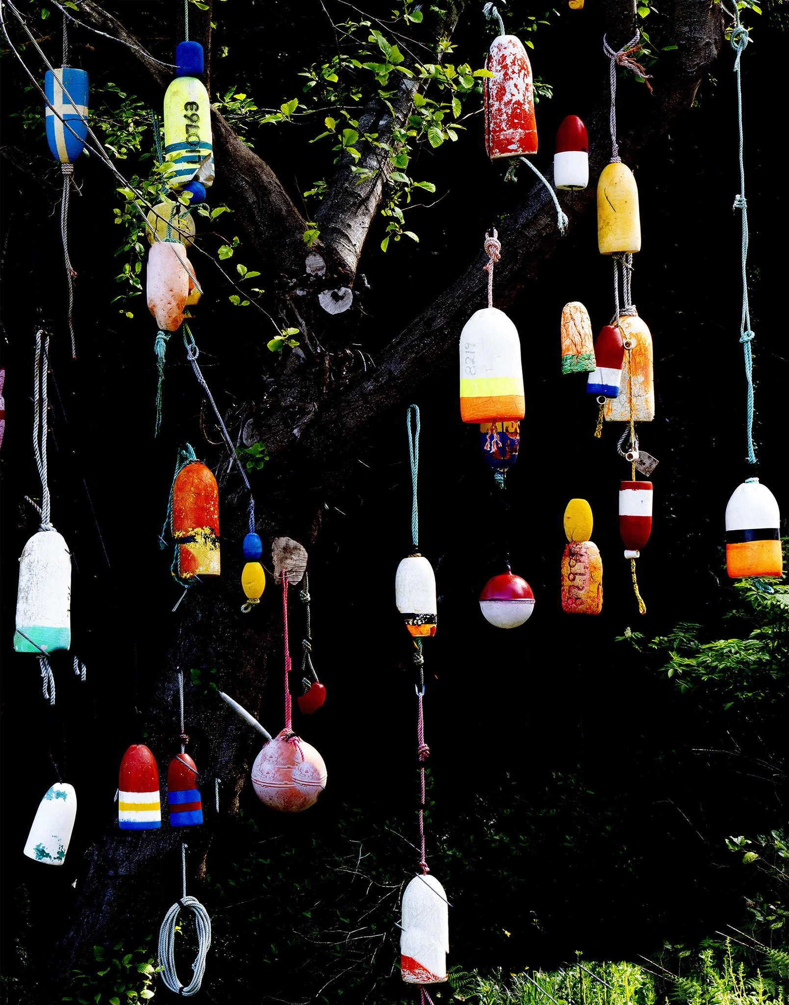 What Remains (Print)