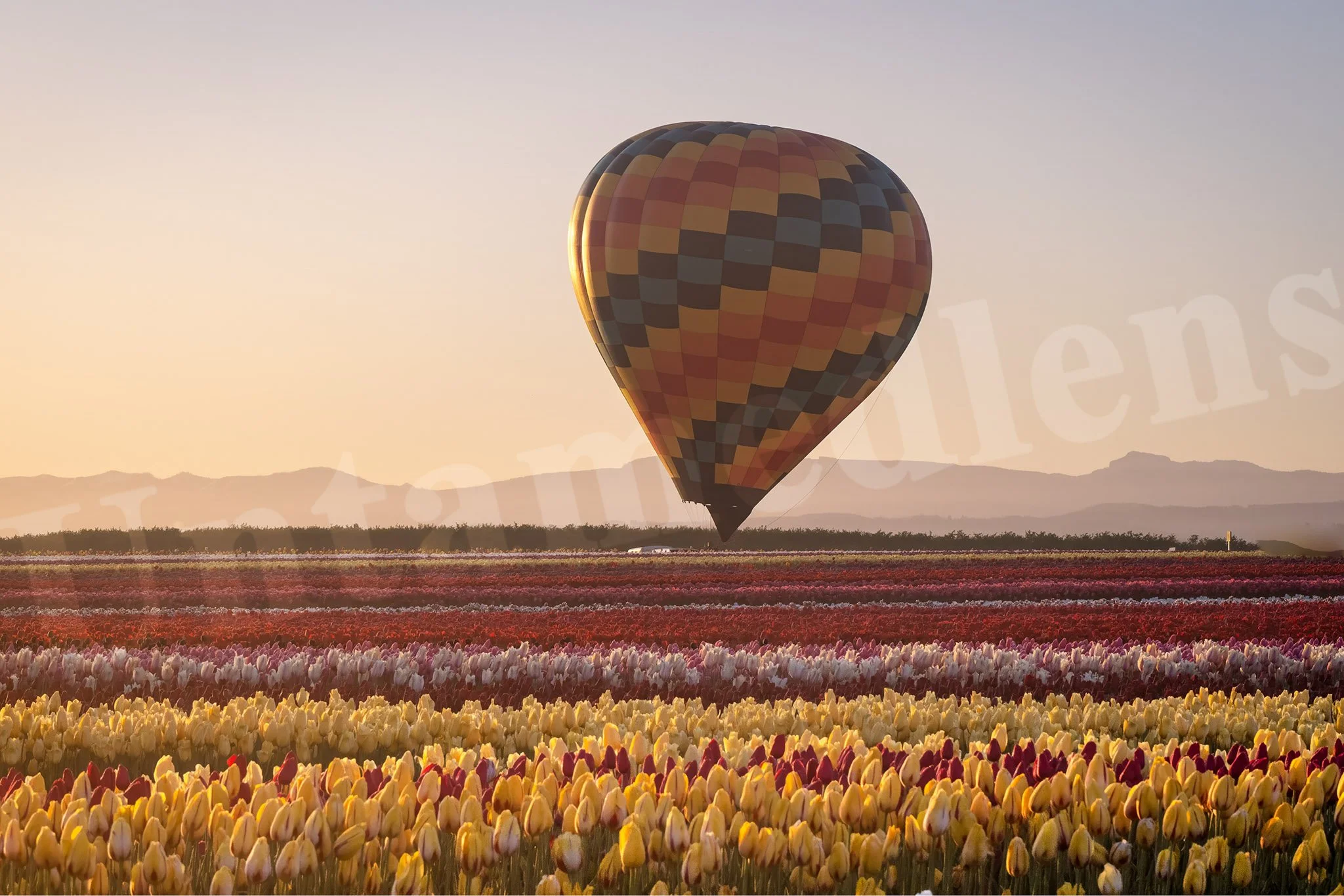 Field of Ascent