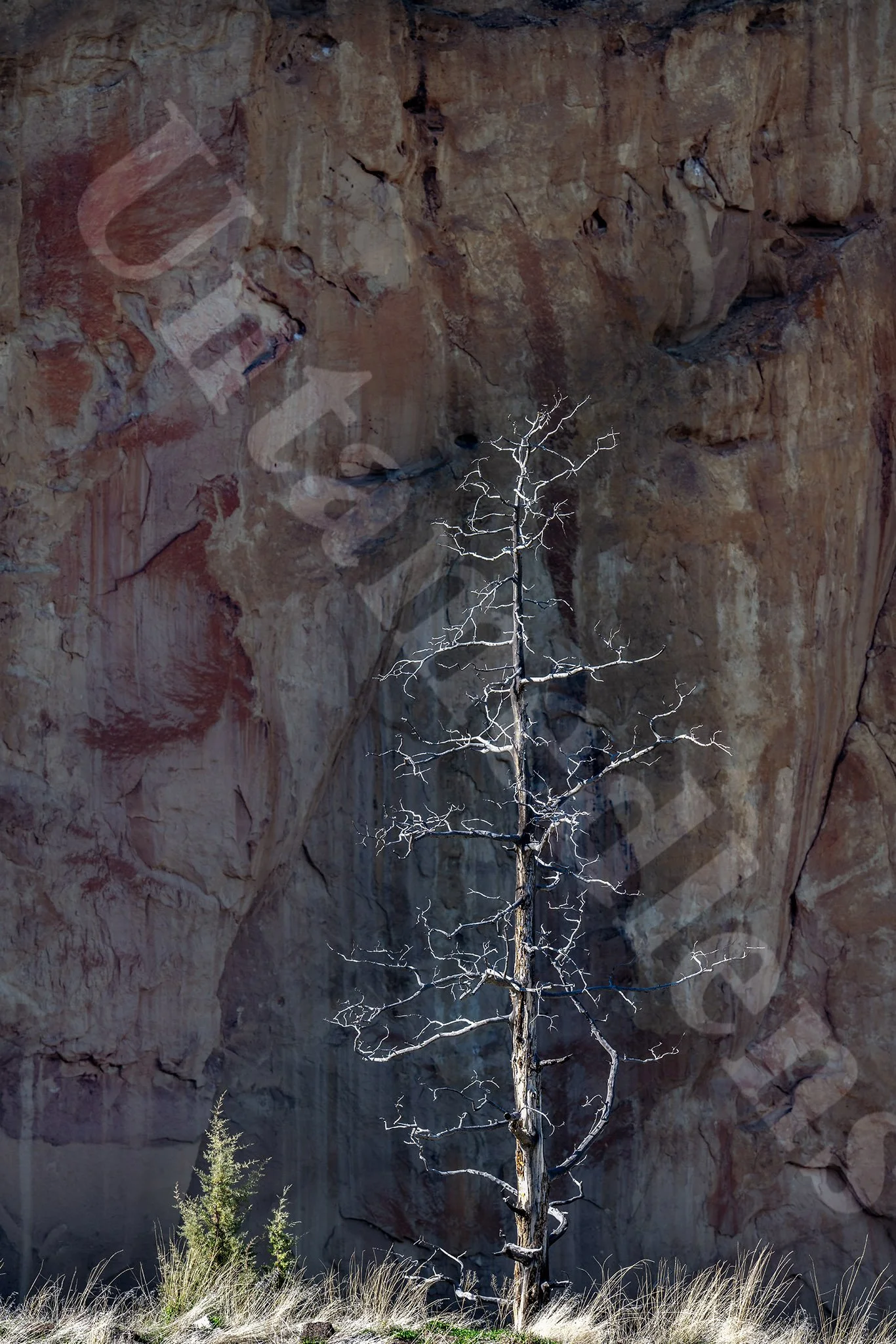 Against the wall
Smith Rock