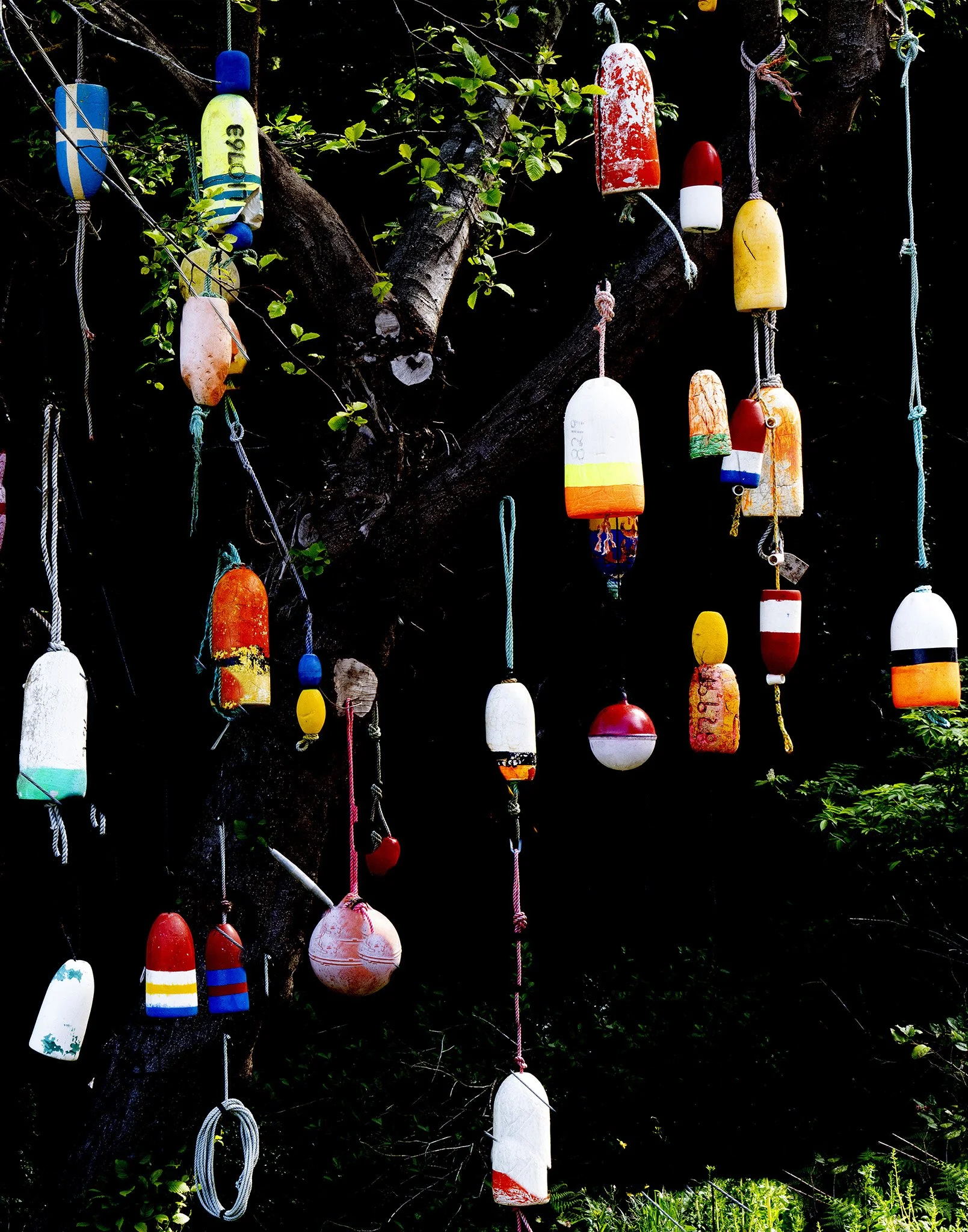 What Remains
(2024-Oregon-Oregon Beaches-Buoy's Tree)
What Remains  1a copy.jpg