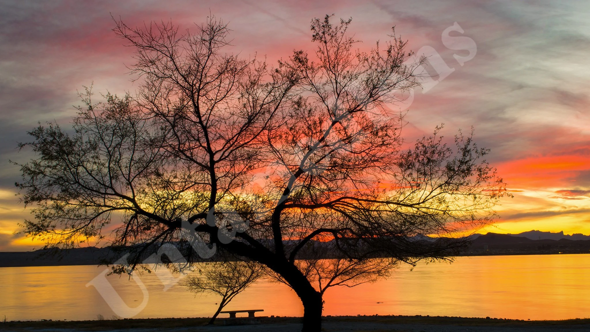 Havasu Afterlight
Lake Havasu Windsor Basin