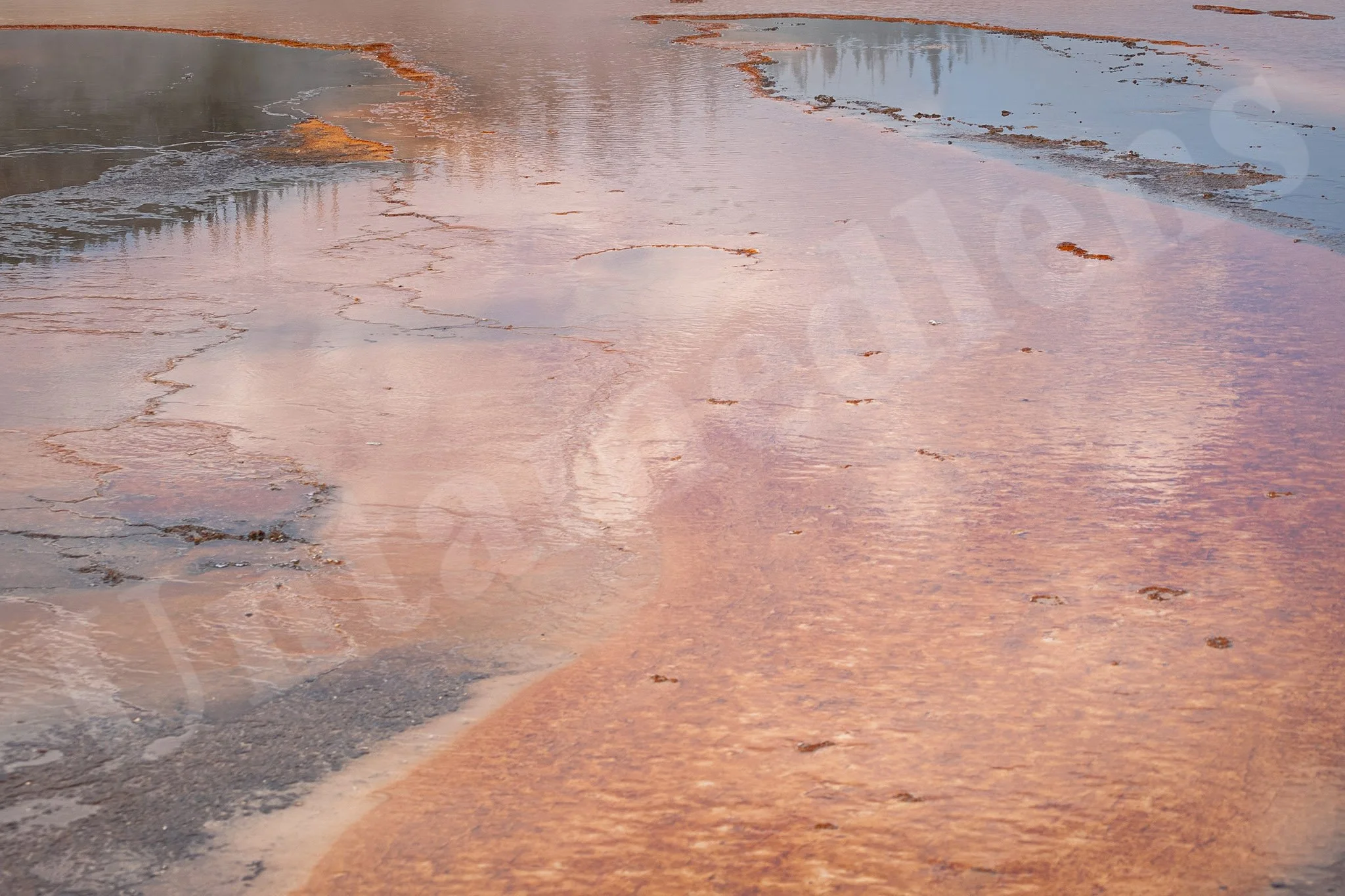 Still Flow
Yellowstone