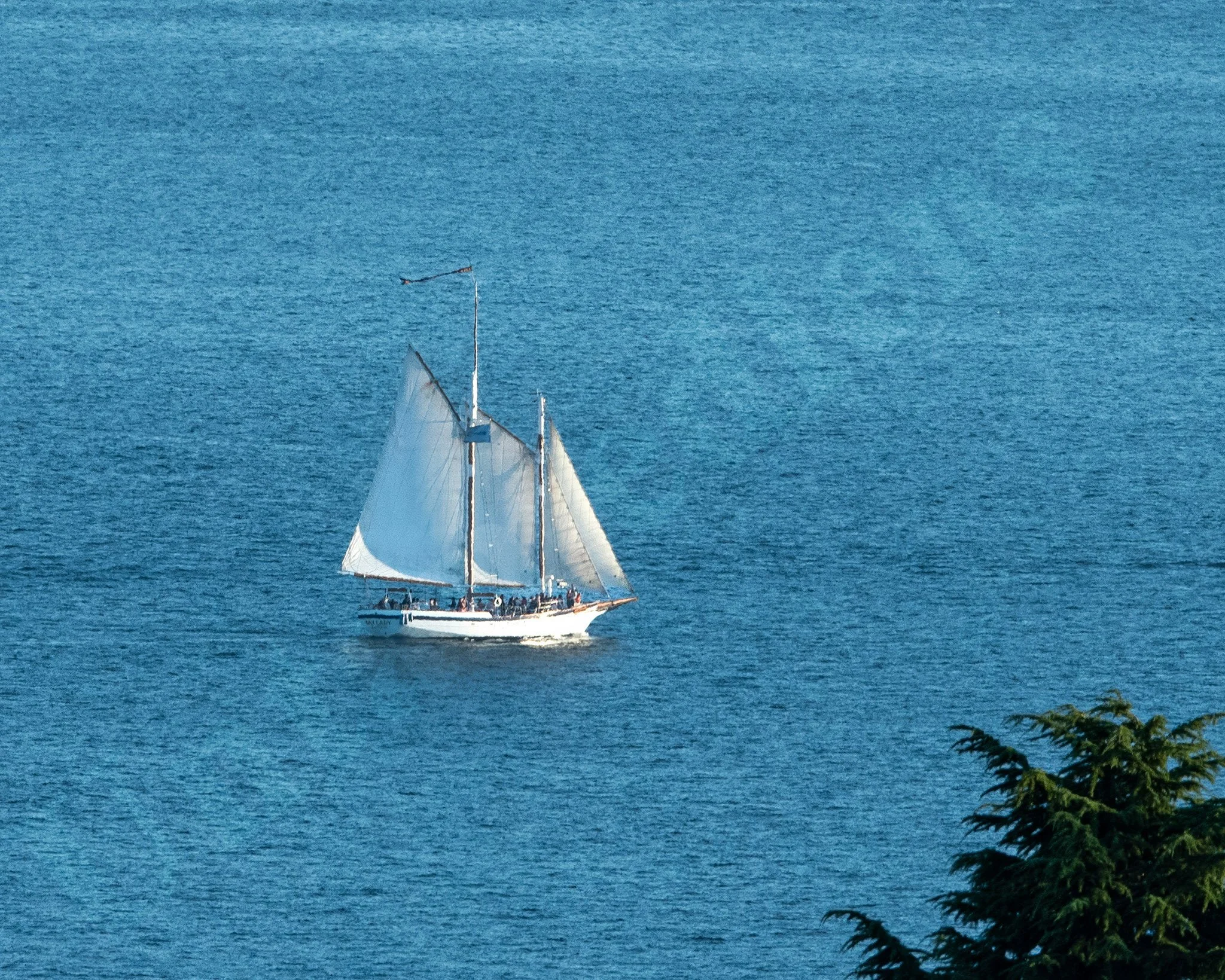 under open sails