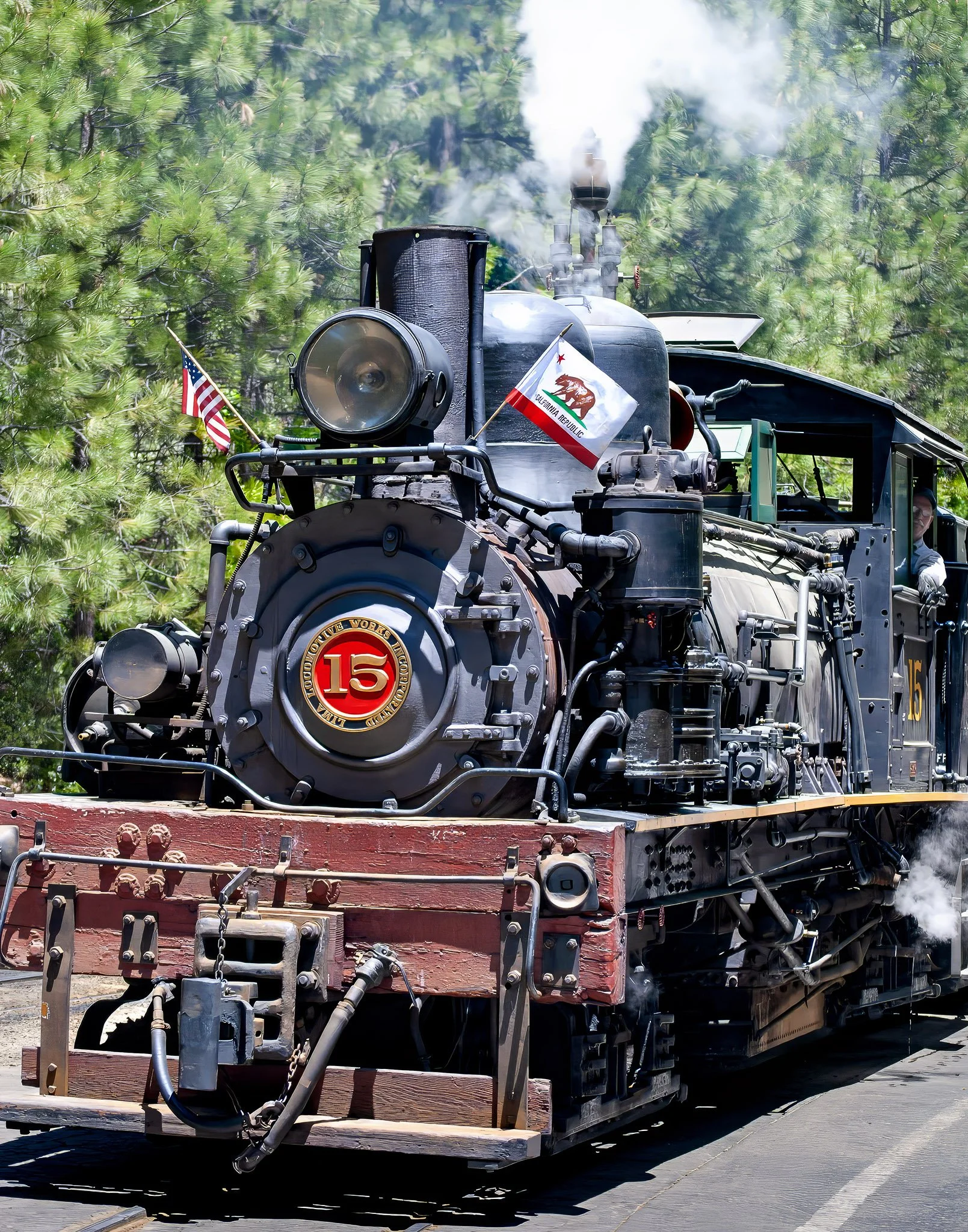 Sugar Pine No. 15 (Print)