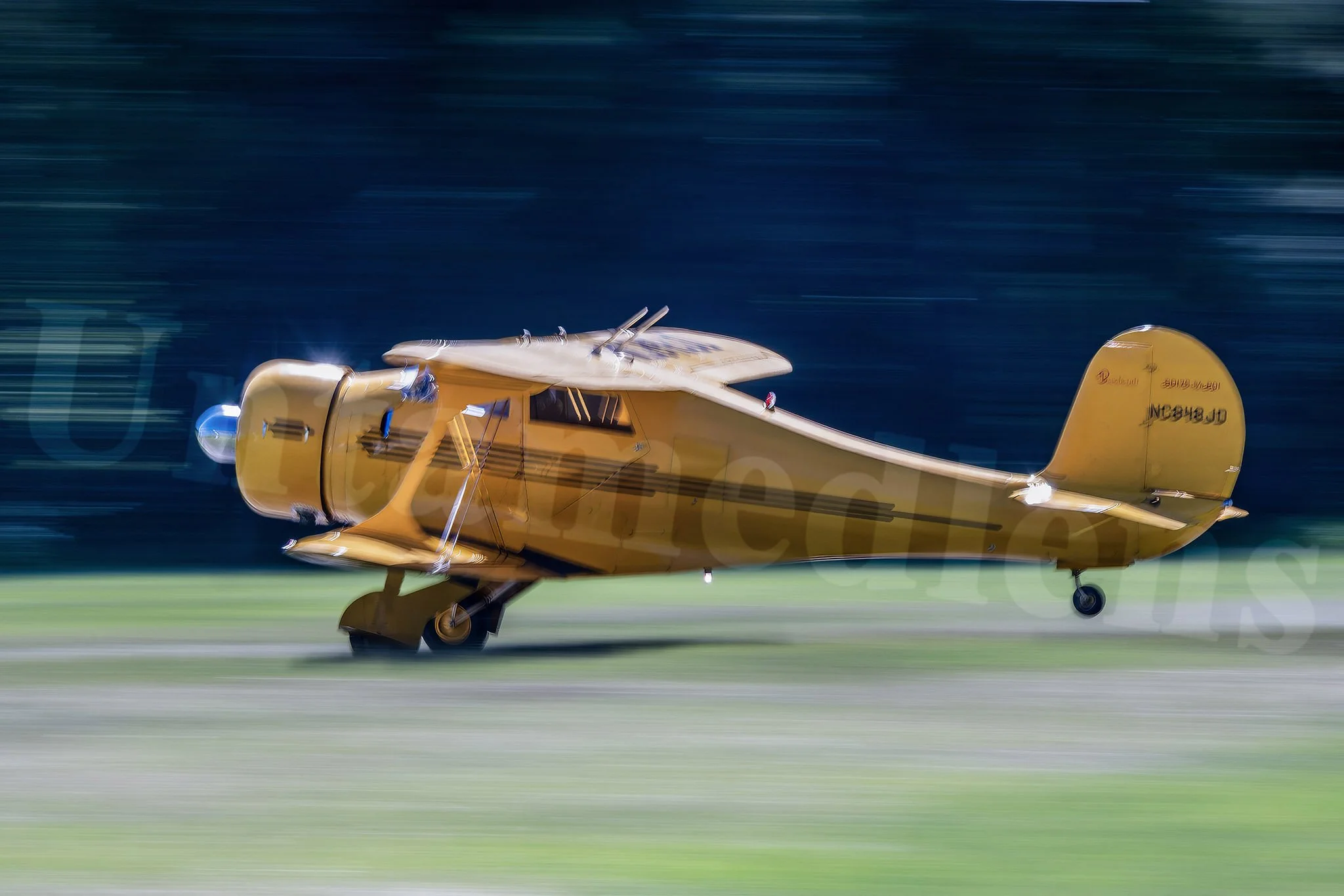 Golden Departure (Beechstaggerwing)