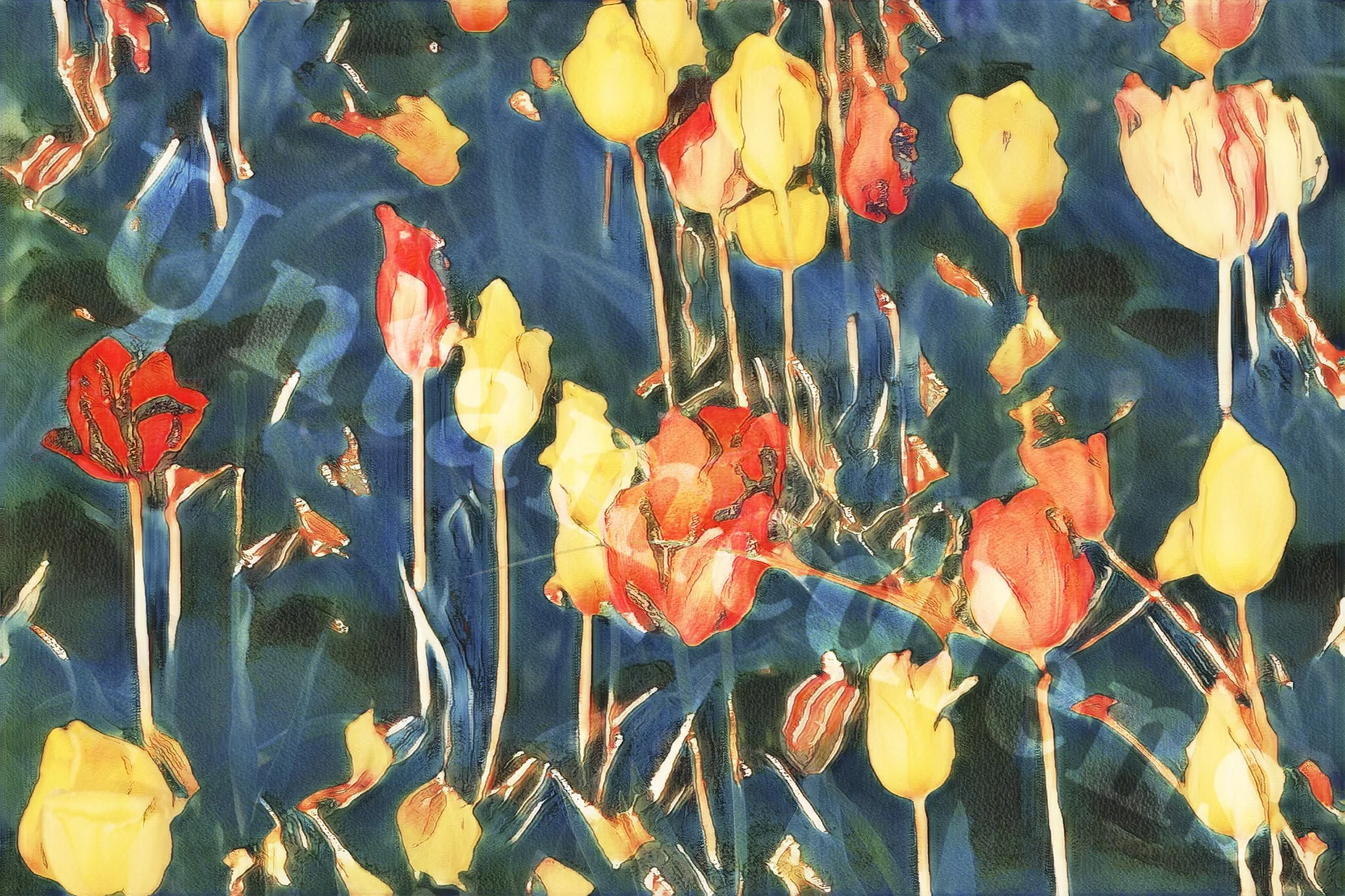 Soft Collapse
Tulip Festival