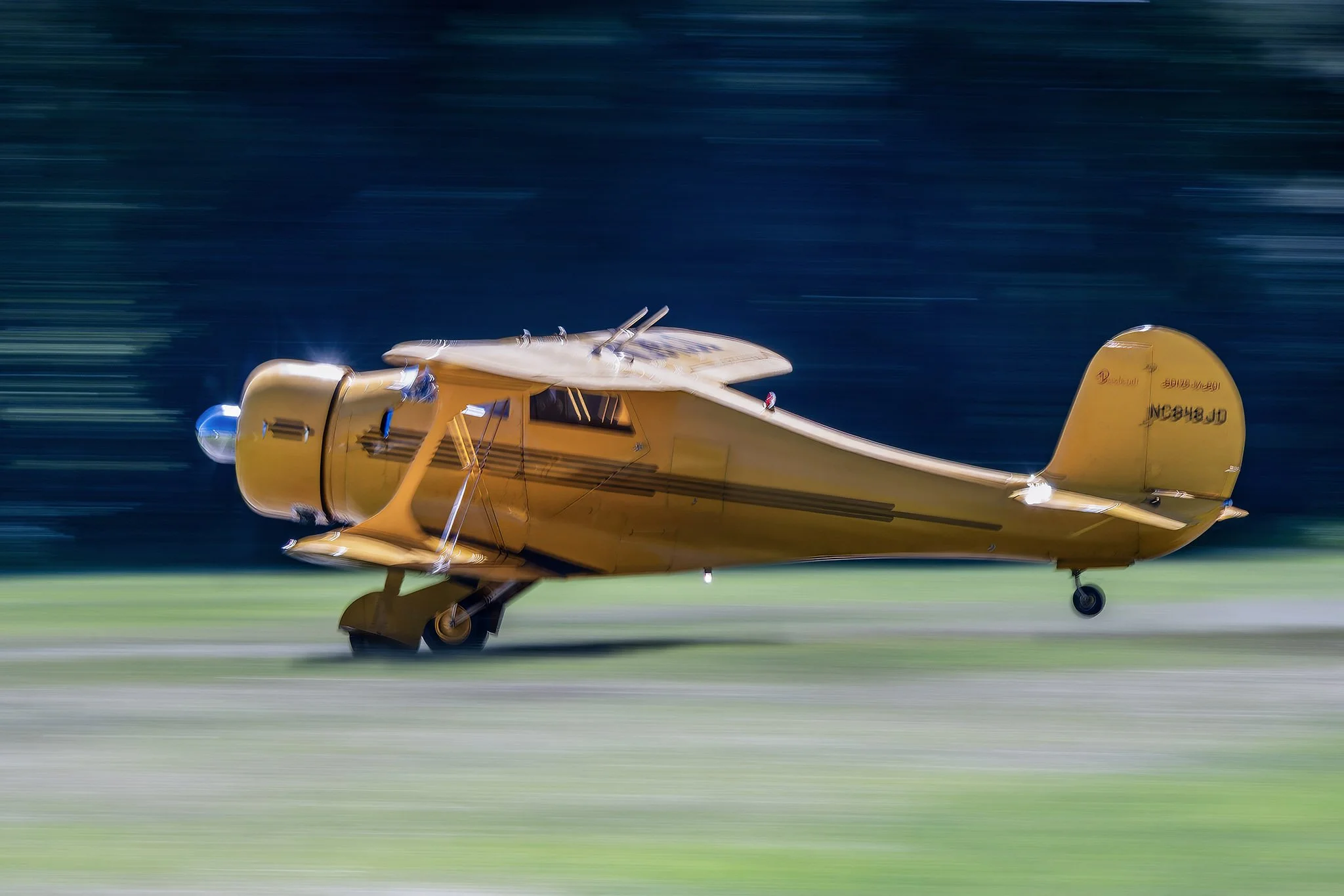 Golden Departure (Beechstaggerwing)