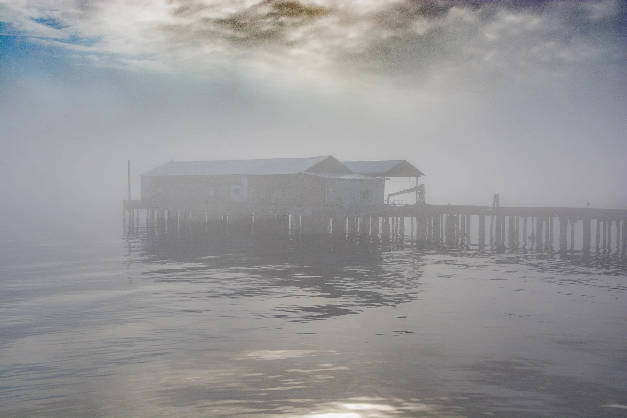 Still Arrival
(Year 2023-Washington-Trip across to Victoria-LR5)
SS FishCannaryfog    a1 copy.jpg