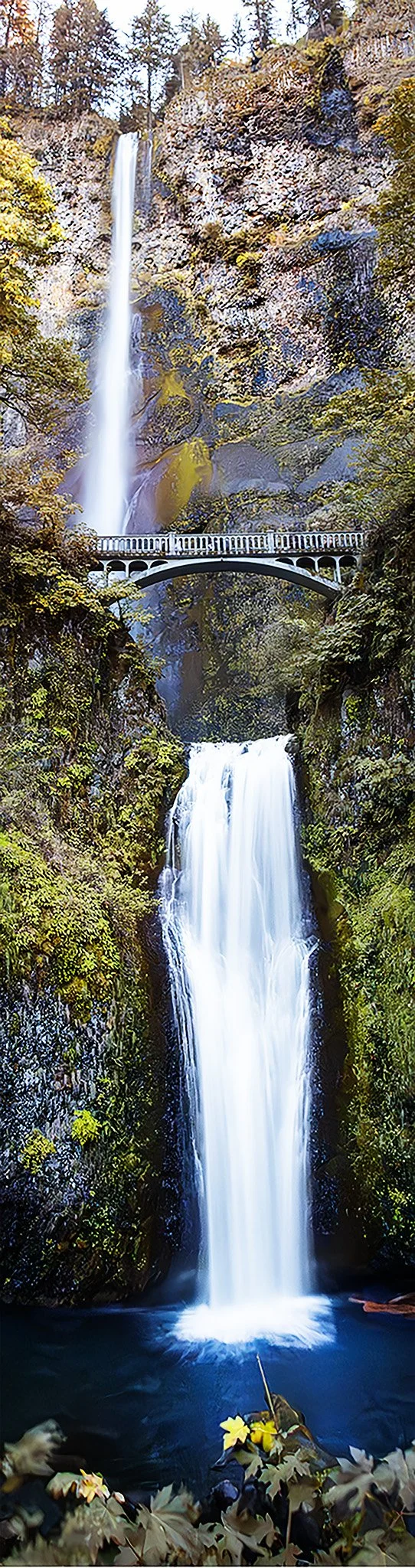 Multnomah Falls, Oregon
(Year 2023-Oregon-Multnomah Falls-Multnomah Falls 10-18-23)
SS Multnomah Falls  40a copy.jpg