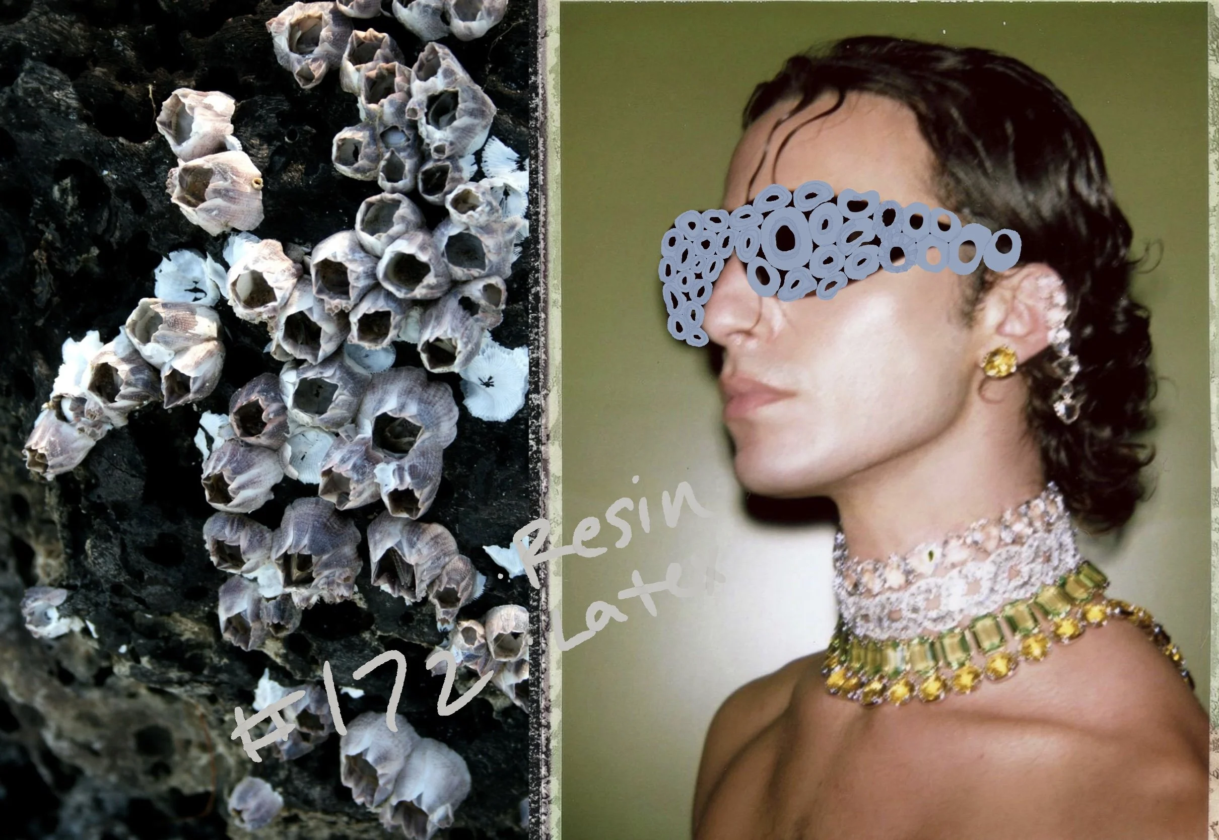 Untitled_Artwork 1.jpg