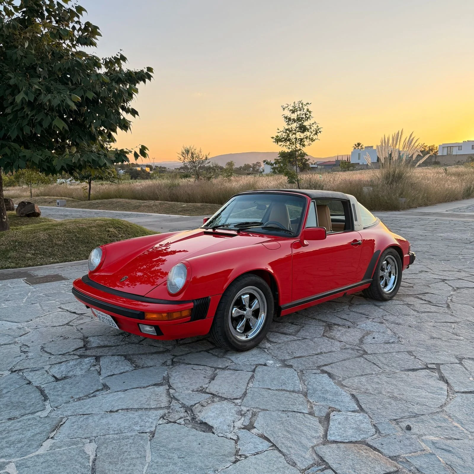 WhatsApp Image 2025-11-24 at 07.55.56.jpeg